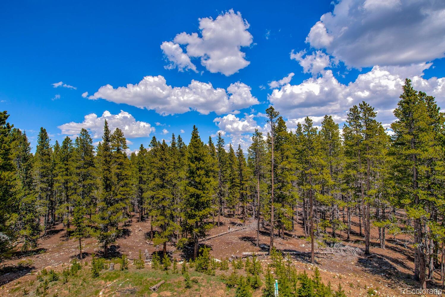 MLS Image #33 for 88  gold trail circle,fairplay, Colorado