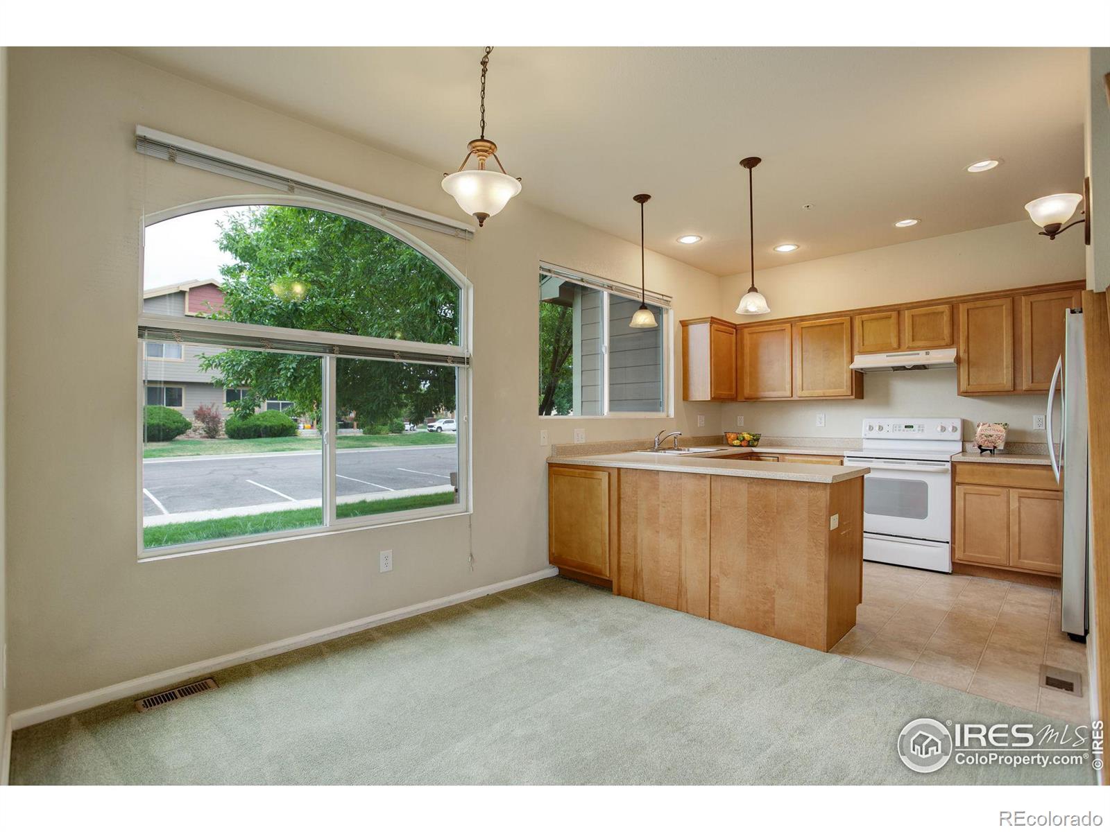 MLS Image #12 for 230  carina circle,loveland, Colorado