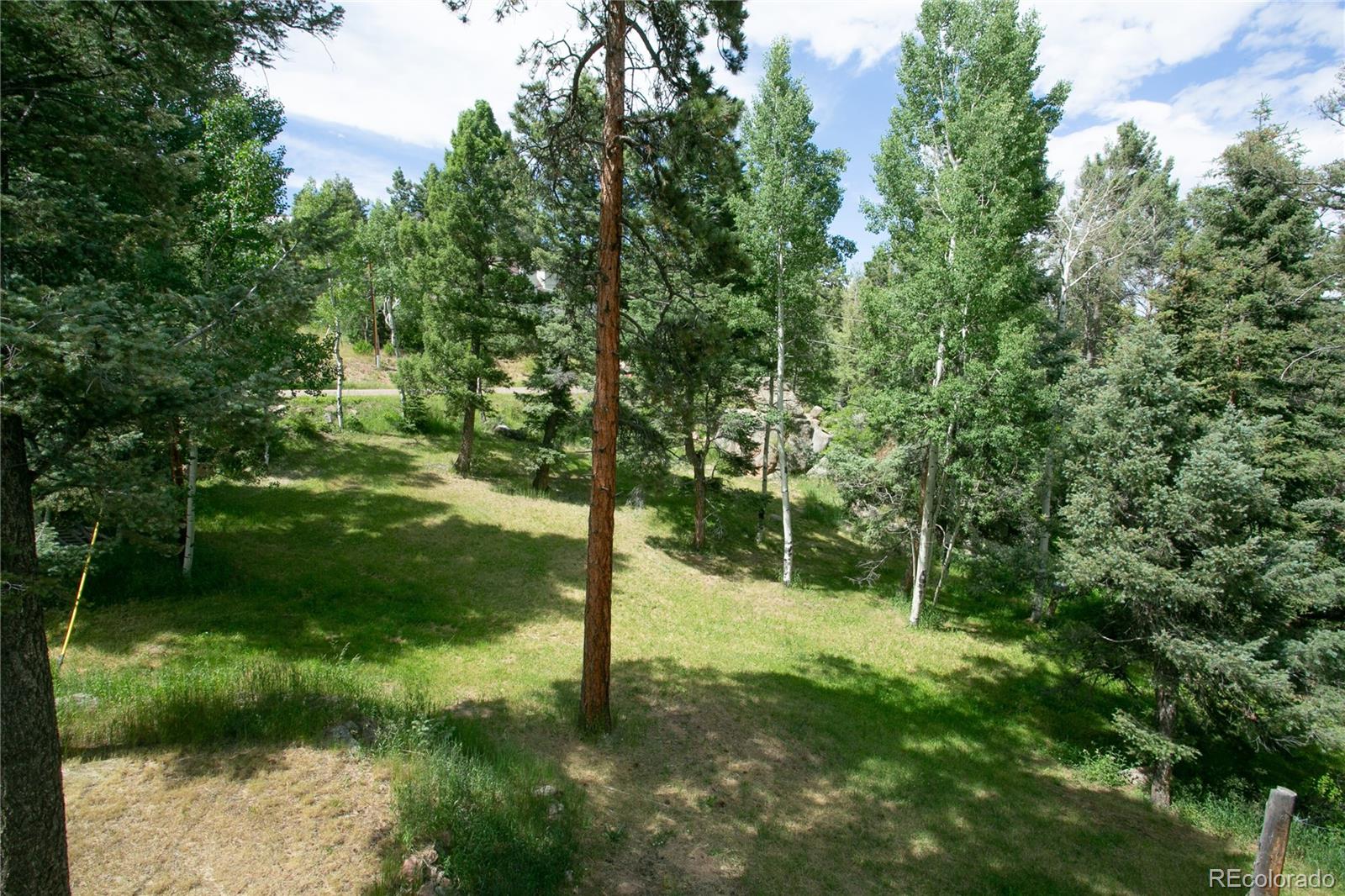 MLS Image #8 for 11887  navajo trail,conifer, Colorado
