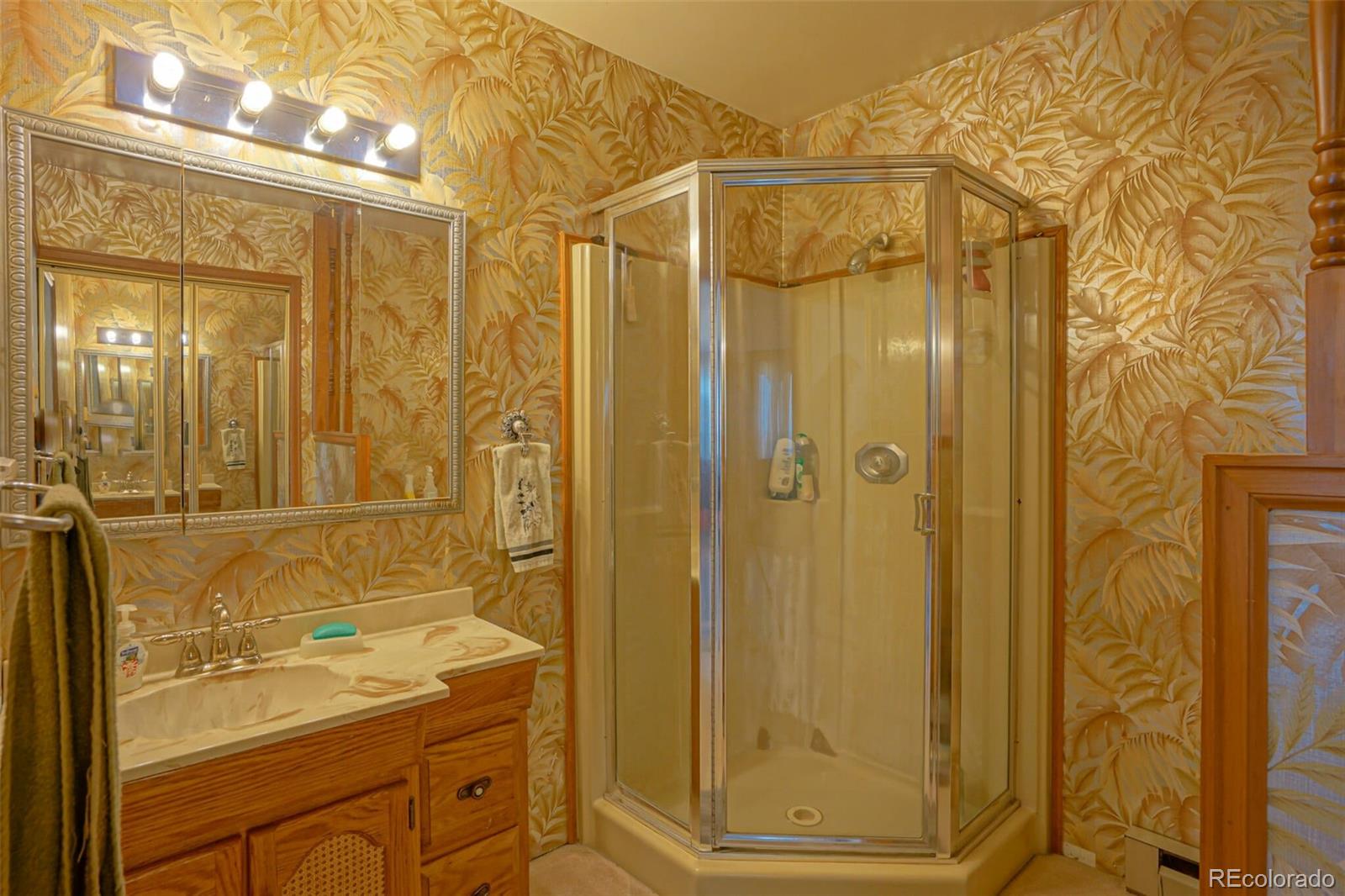 MLS Image #22 for 8961  county road 69 ,trinidad, Colorado
