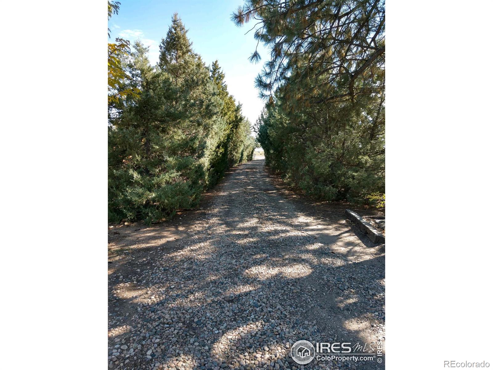 MLS Image #2 for 5505 s county road 7 ,fort collins, Colorado