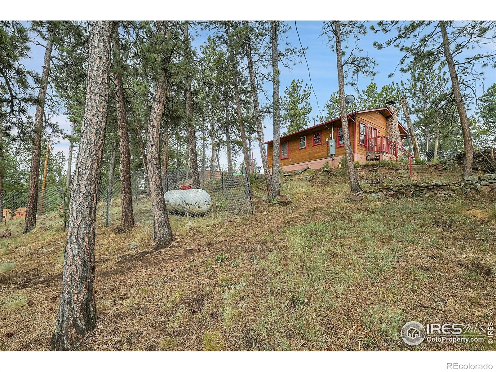 MLS Image #2 for 264  harris street,bailey, Colorado