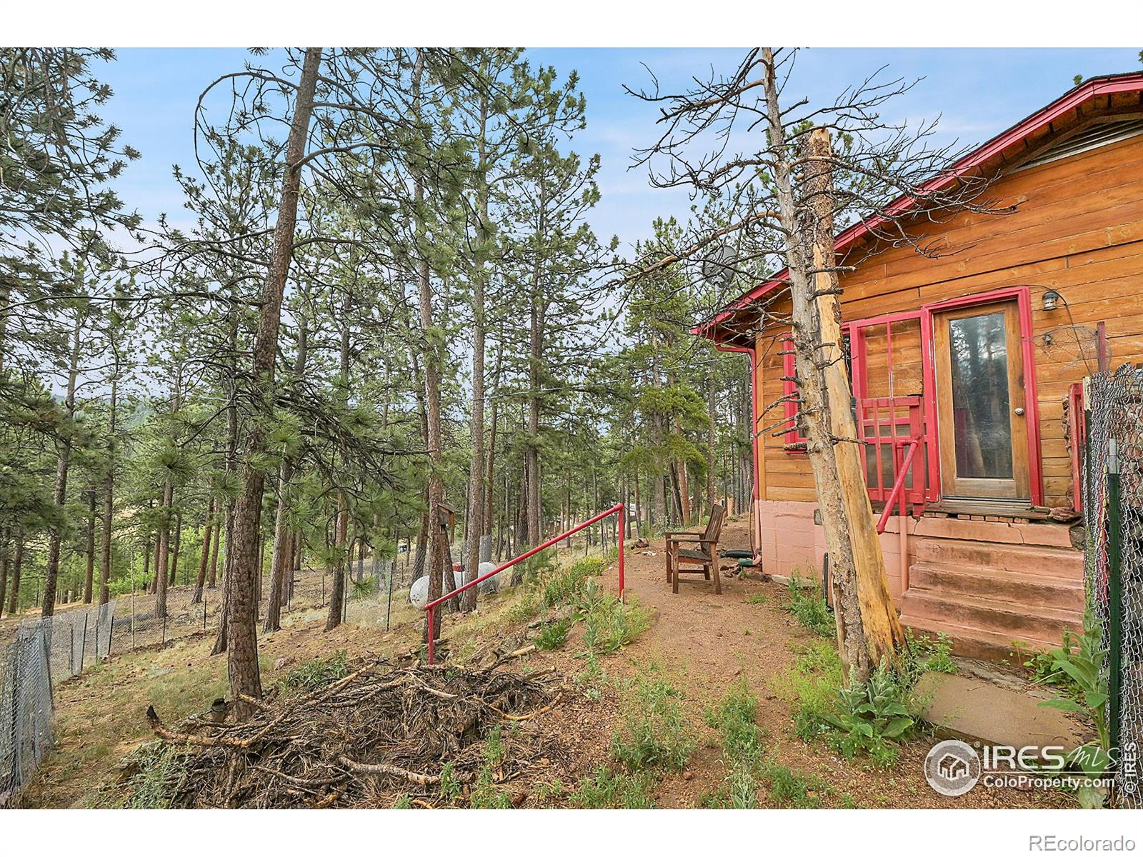 MLS Image #3 for 264  harris street,bailey, Colorado