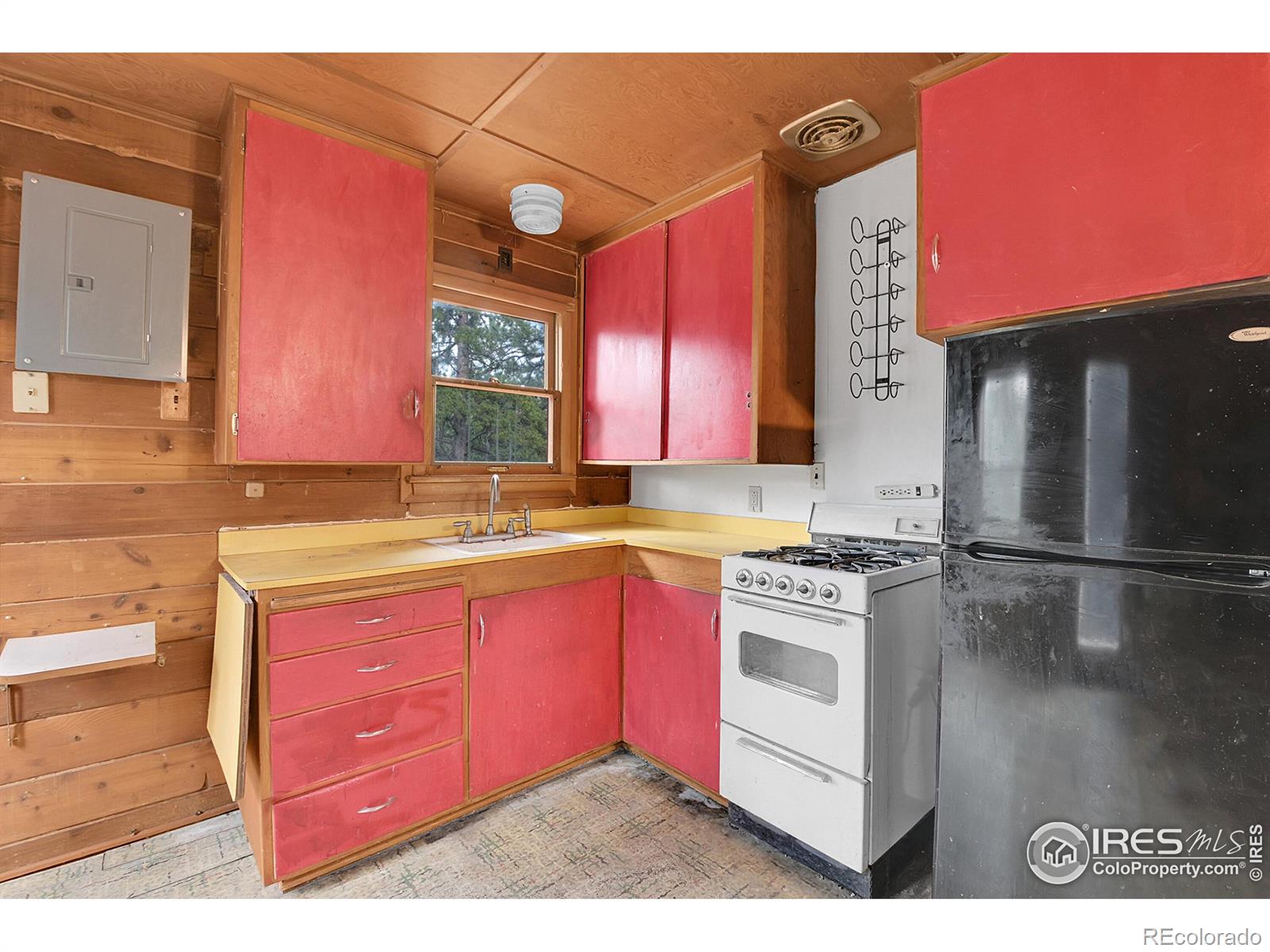 MLS Image #9 for 264  harris street,bailey, Colorado