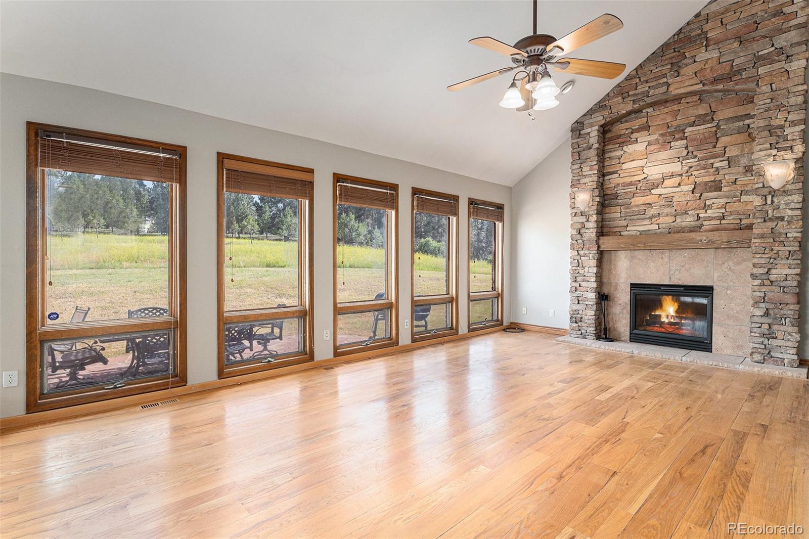 MLS Image #10 for 102  staghorn way,franktown, Colorado