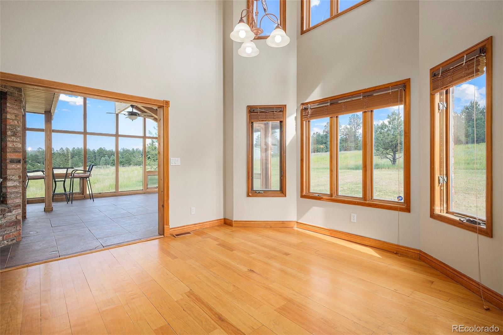 MLS Image #14 for 102  staghorn way,franktown, Colorado