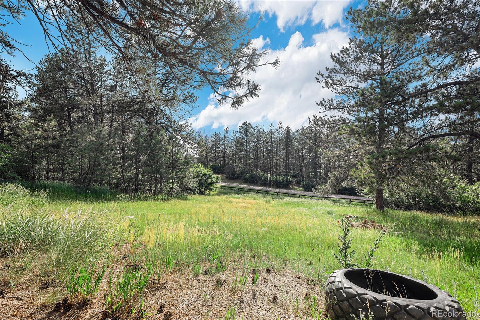 MLS Image #42 for 102  staghorn way,franktown, Colorado