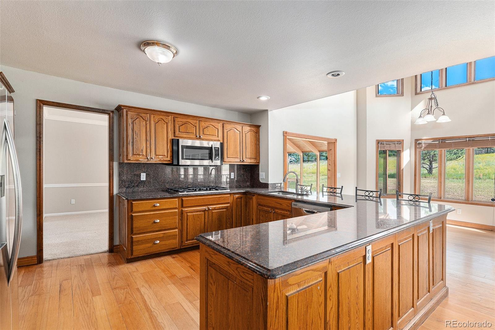 MLS Image #5 for 102  staghorn way,franktown, Colorado