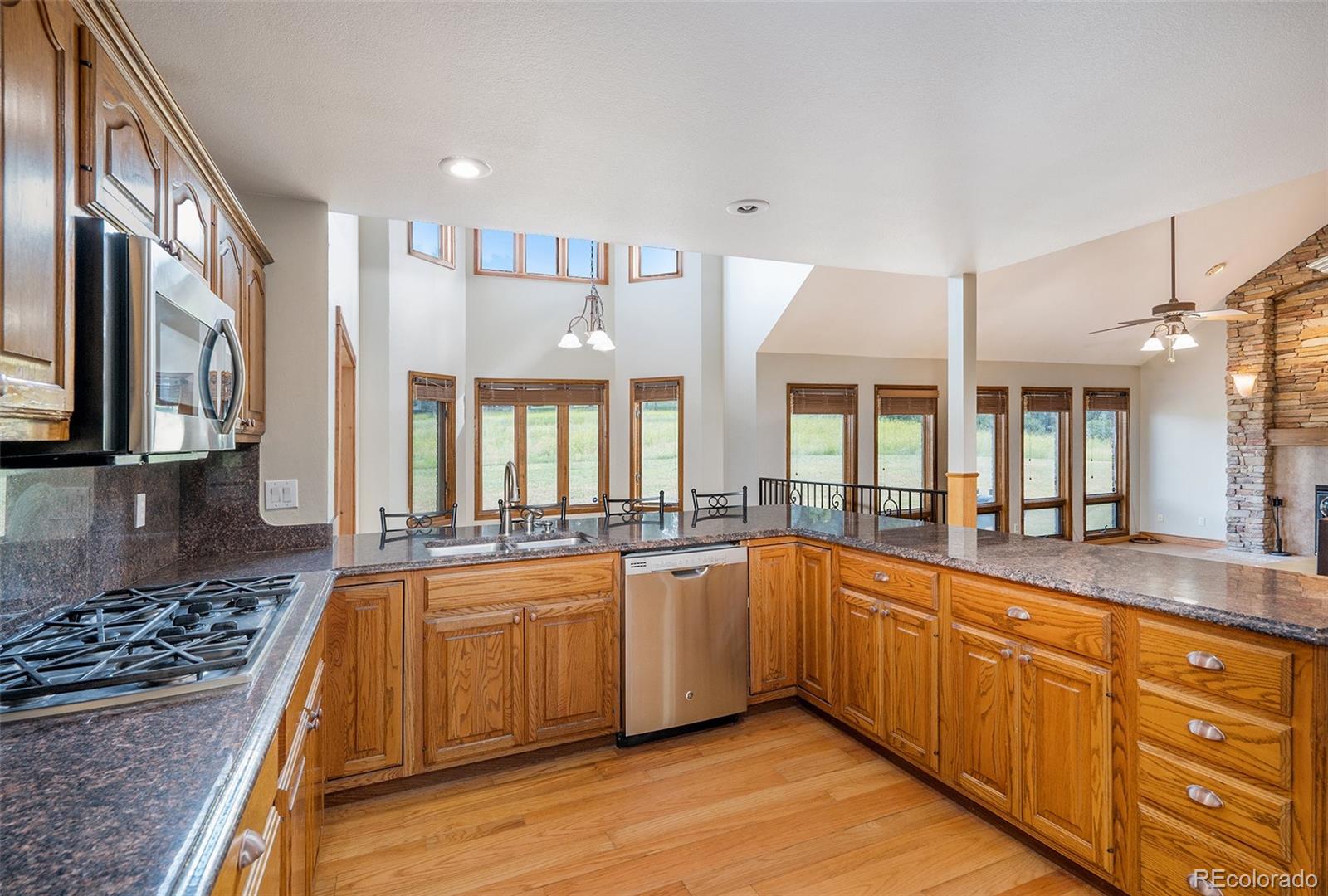 MLS Image #9 for 102  staghorn way,franktown, Colorado