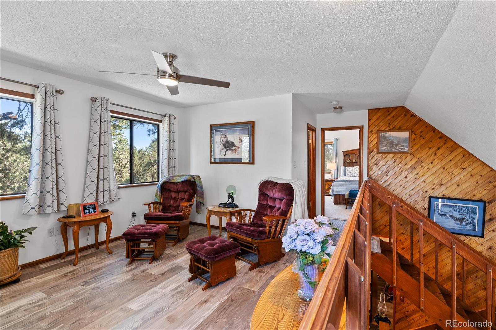 MLS Image #16 for 539  12th trail ,cotopaxi, Colorado