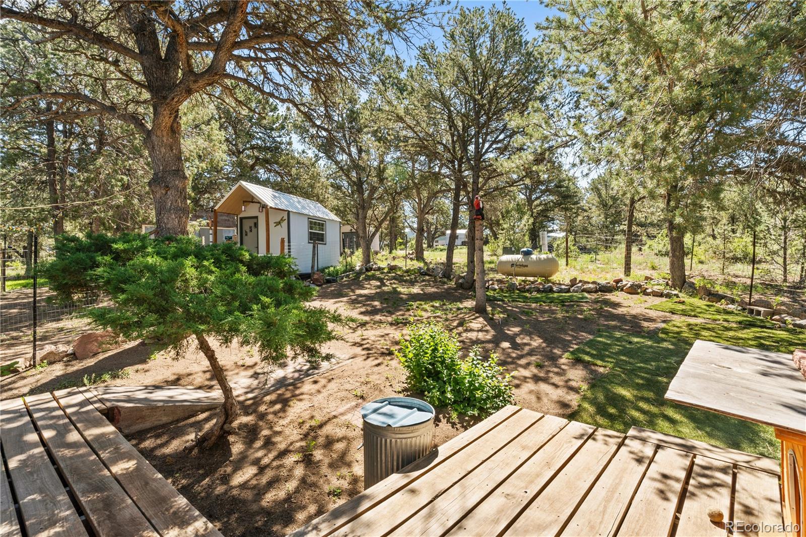 MLS Image #24 for 539  12th trail ,cotopaxi, Colorado