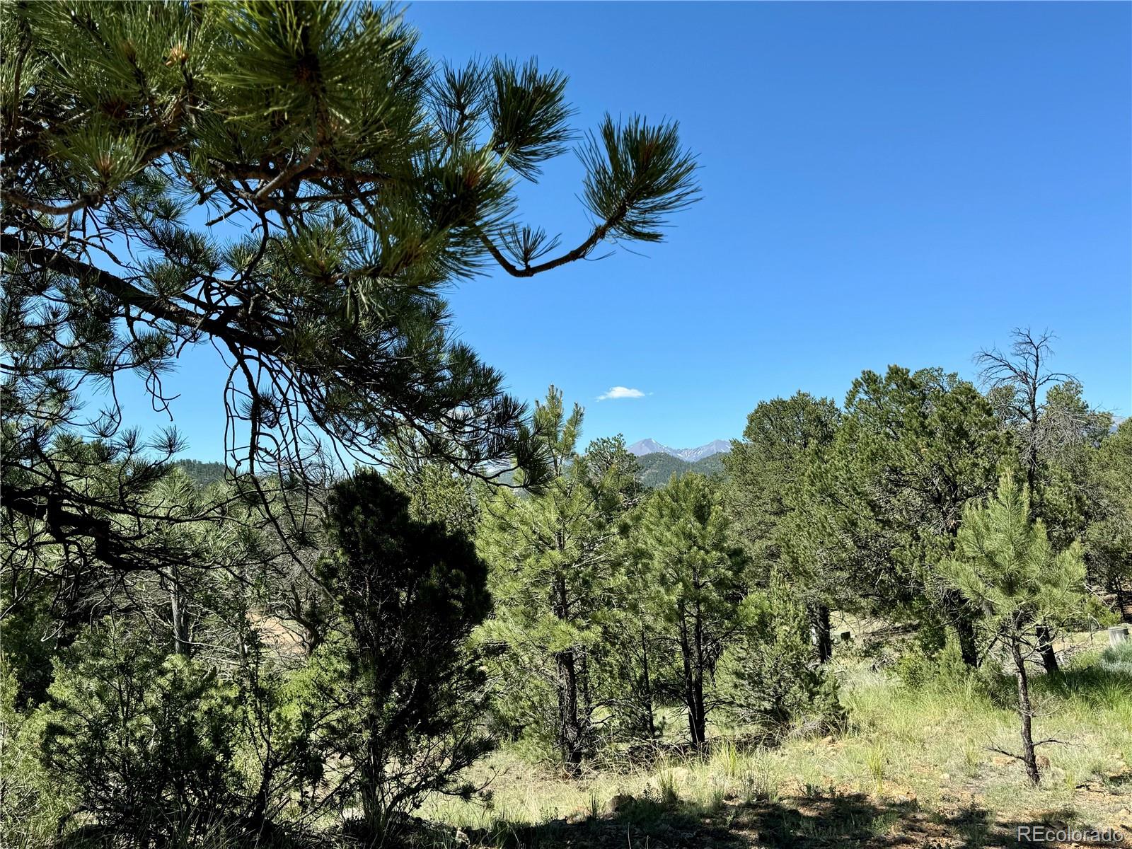 MLS Image #29 for 539  12th trail,cotopaxi, Colorado