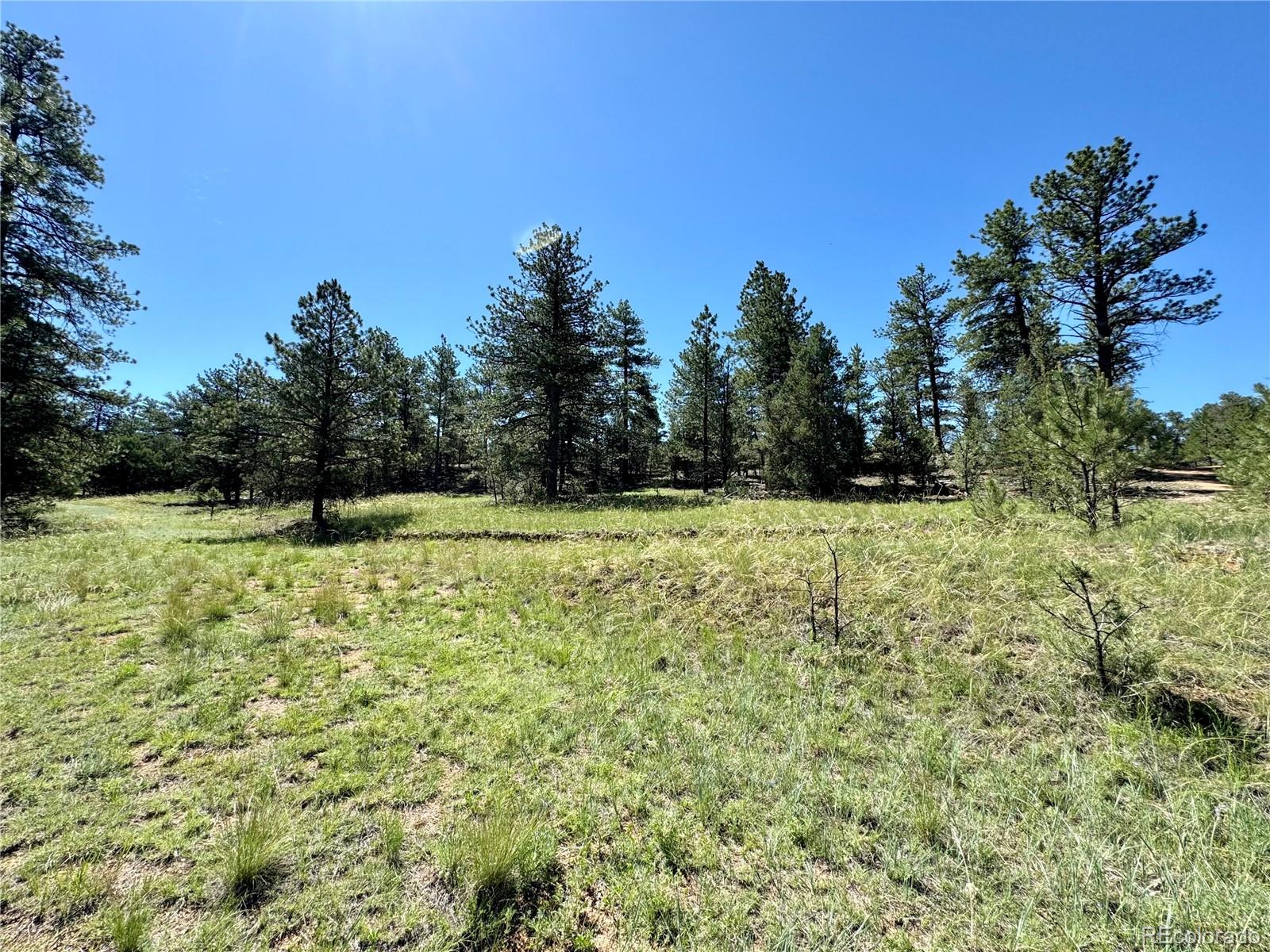 MLS Image #31 for 539  12th trail,cotopaxi, Colorado