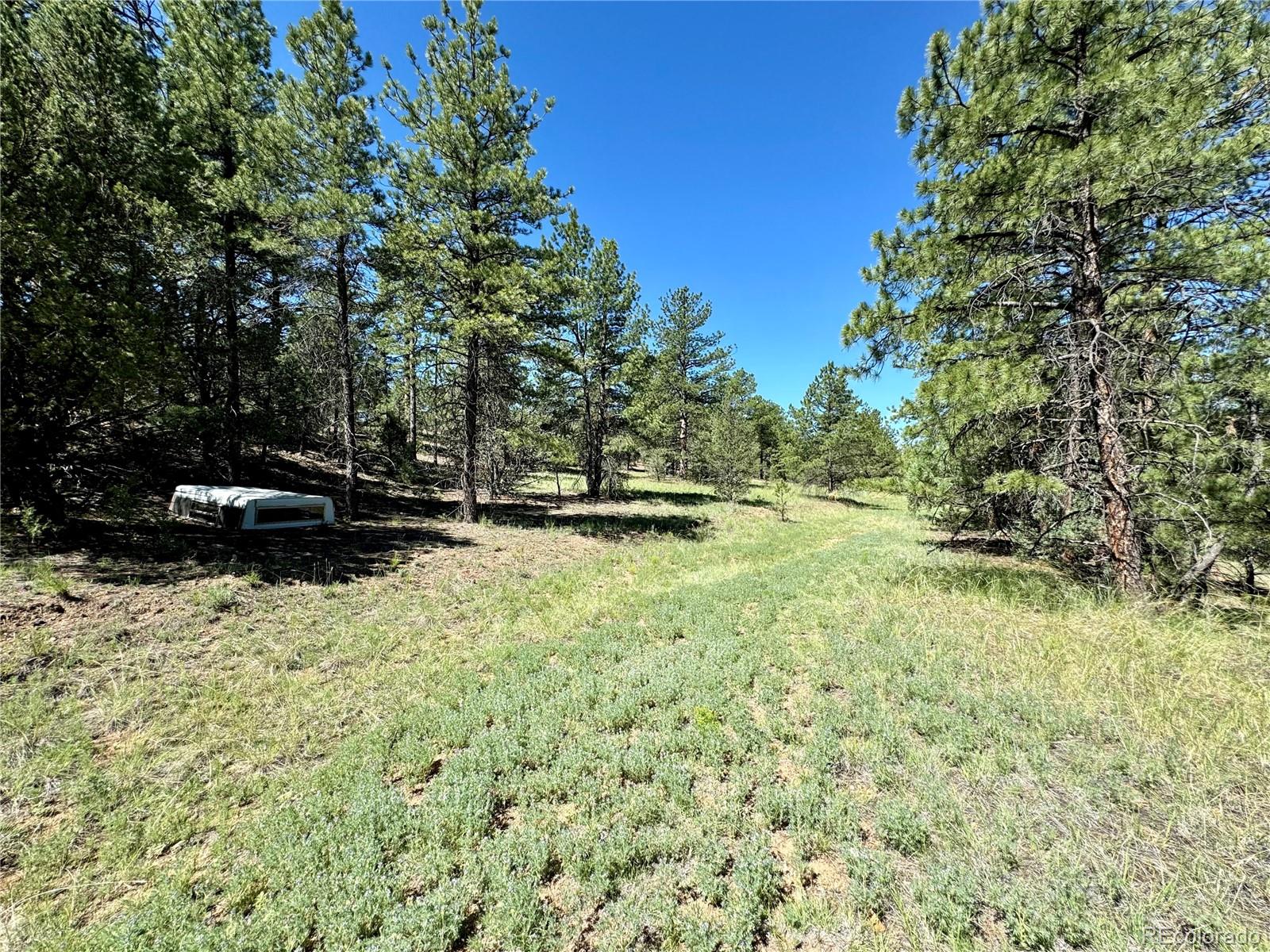 MLS Image #32 for 539  12th trail,cotopaxi, Colorado