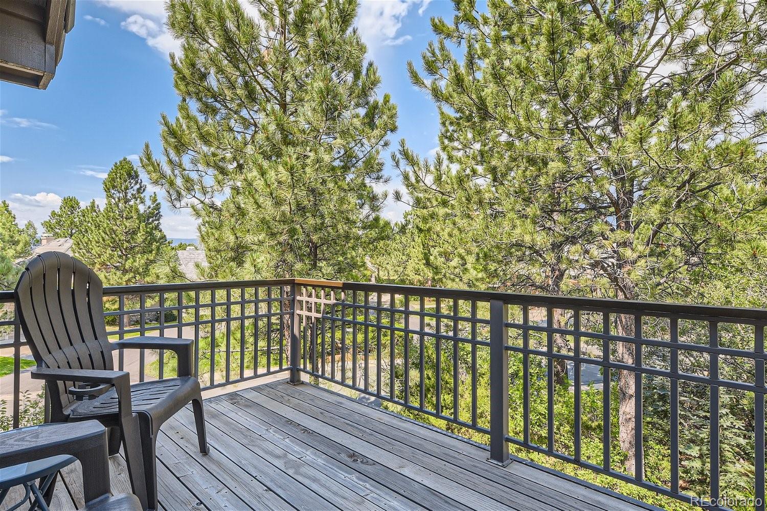 MLS Image #20 for 3130  ramshorn drive,castle rock, Colorado