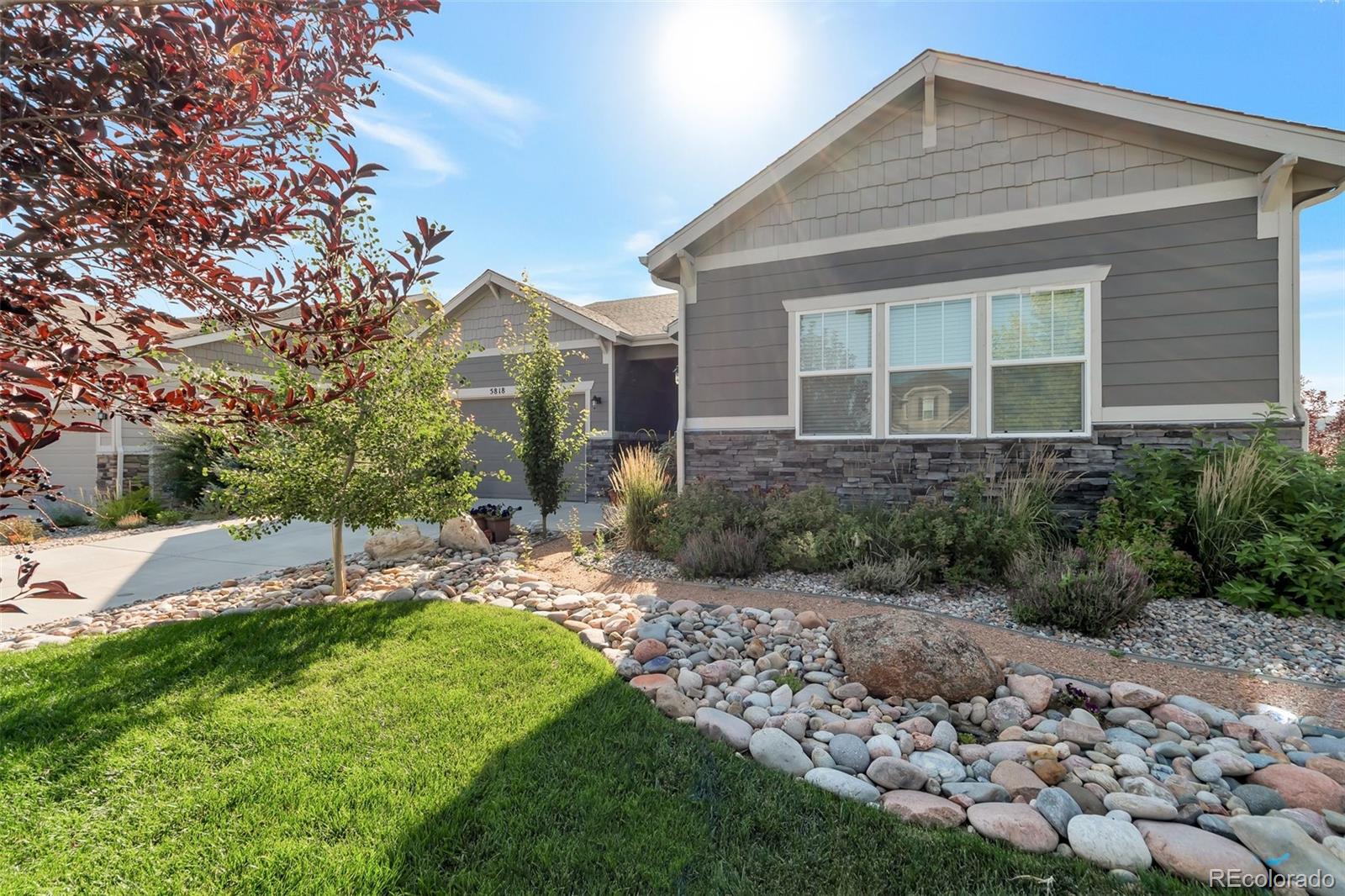 CMA Image for 5818  Flat Rock Court,Castle Rock, Colorado