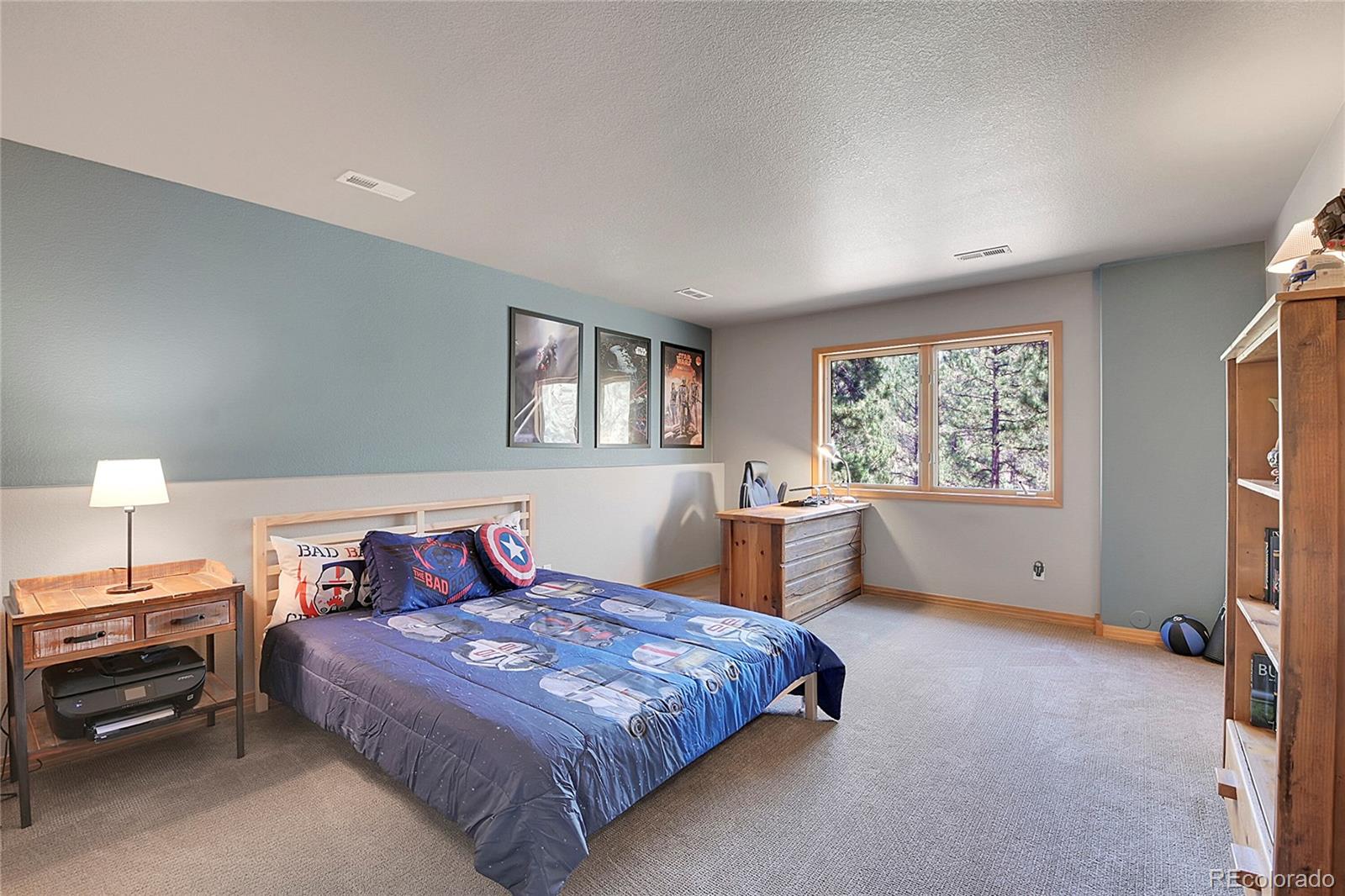 MLS Image #30 for 16508  ouray road,pine, Colorado