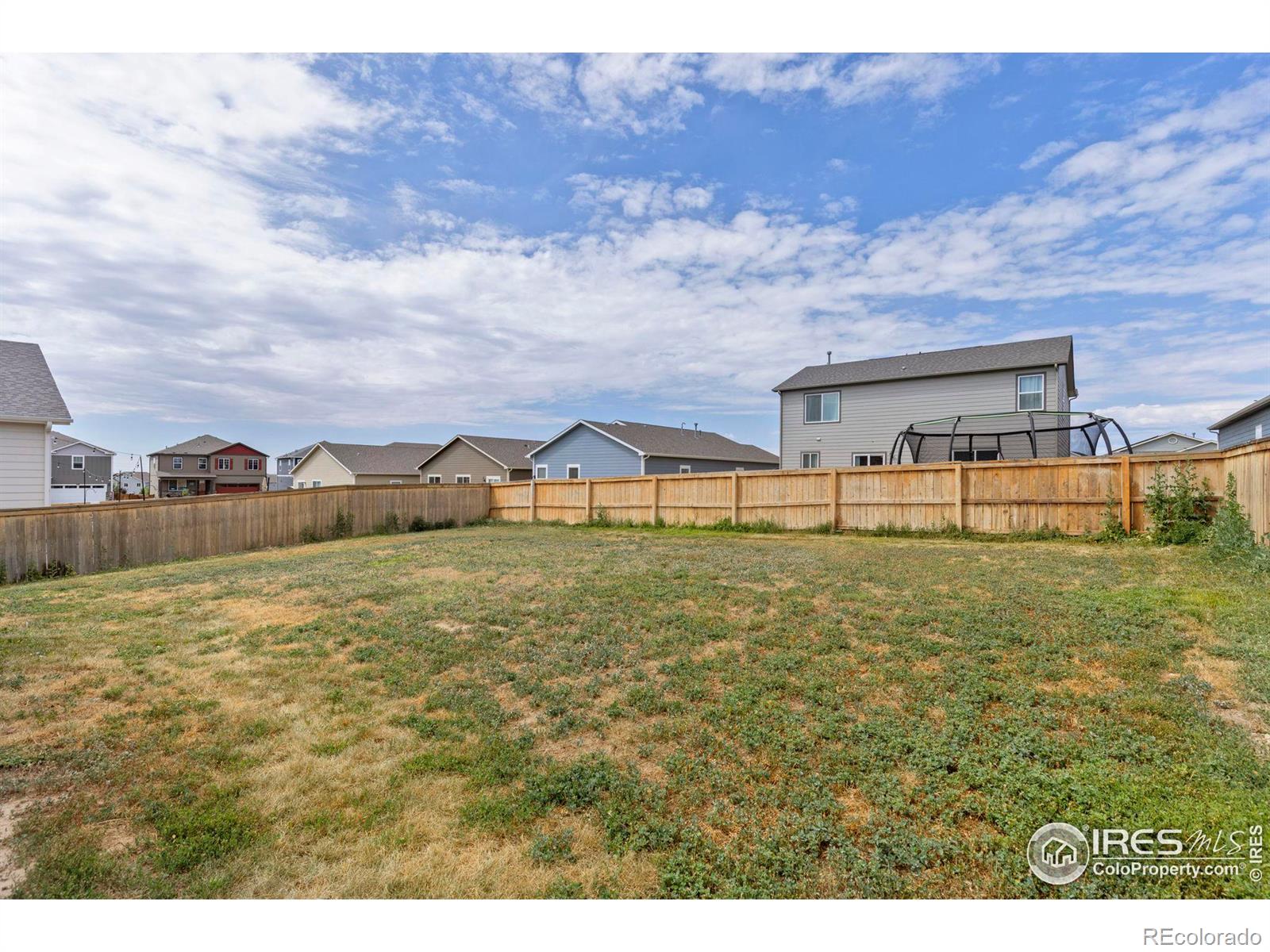 MLS Image #20 for 993  cascade falls street,severance, Colorado