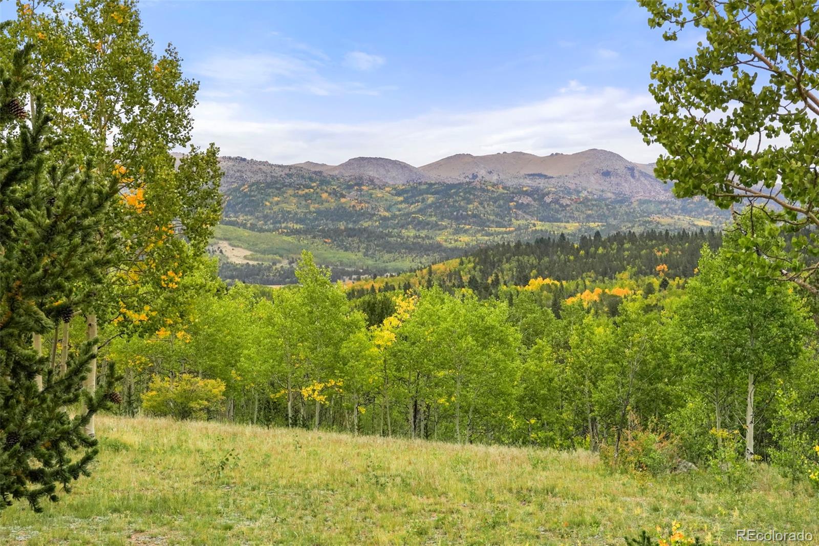 MLS Image #8 for 9865 s highway 67 ,cripple creek, Colorado