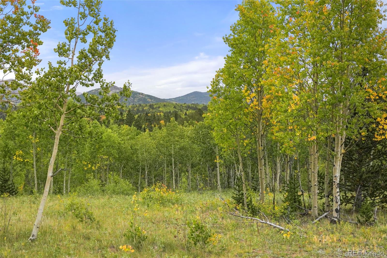 MLS Image #9 for 9865 s highway 67 ,cripple creek, Colorado