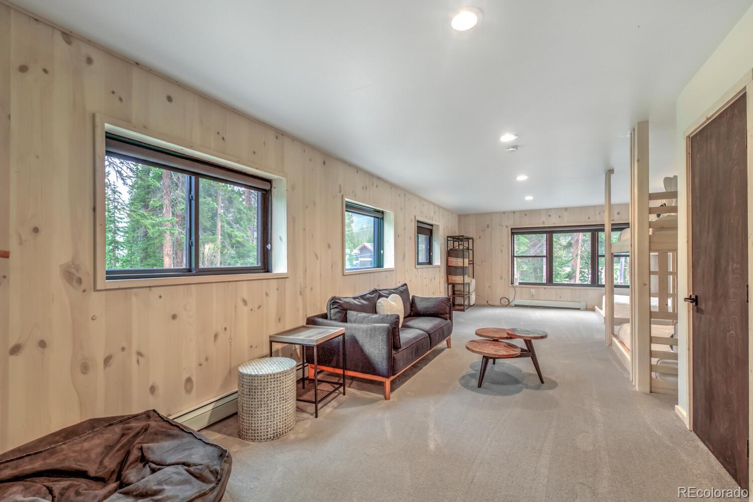 MLS Image #41 for 563  cr 672 ,breckenridge, Colorado