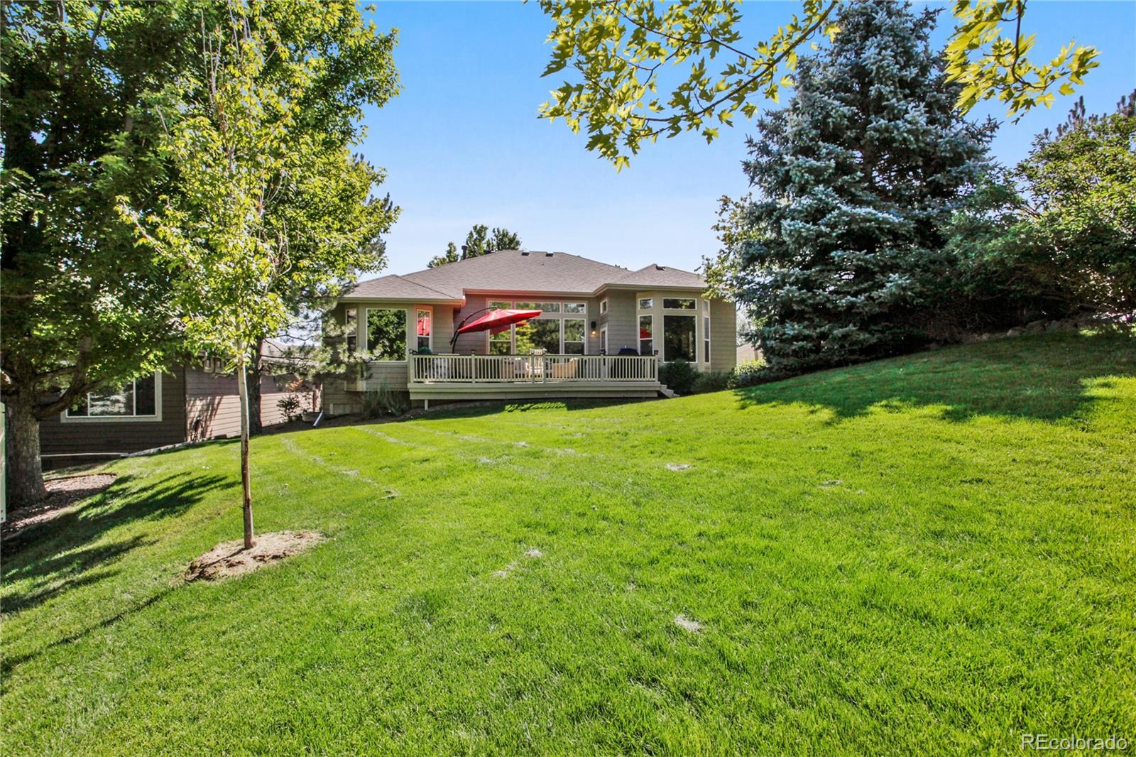 MLS Image #33 for 7443  snow lily place,castle pines, Colorado