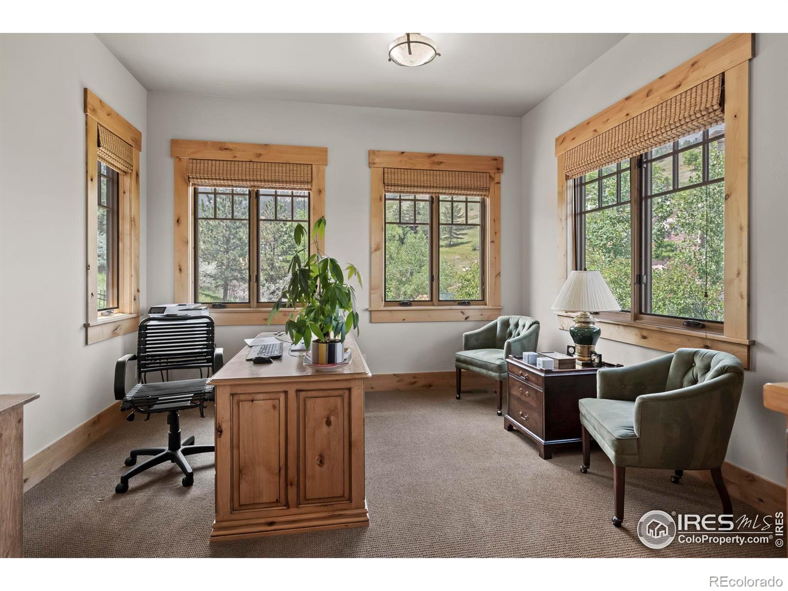 MLS Image #20 for 1420  sierra drive,boulder, Colorado