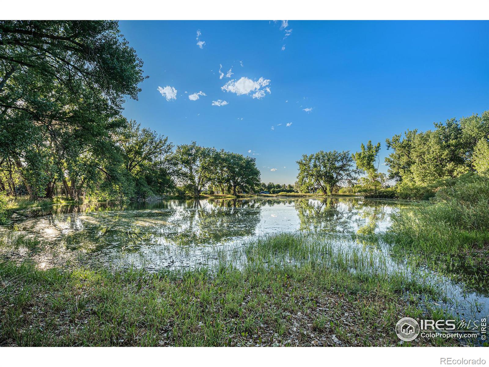 MLS Image #4 for 6760  owl lake drive,firestone, Colorado