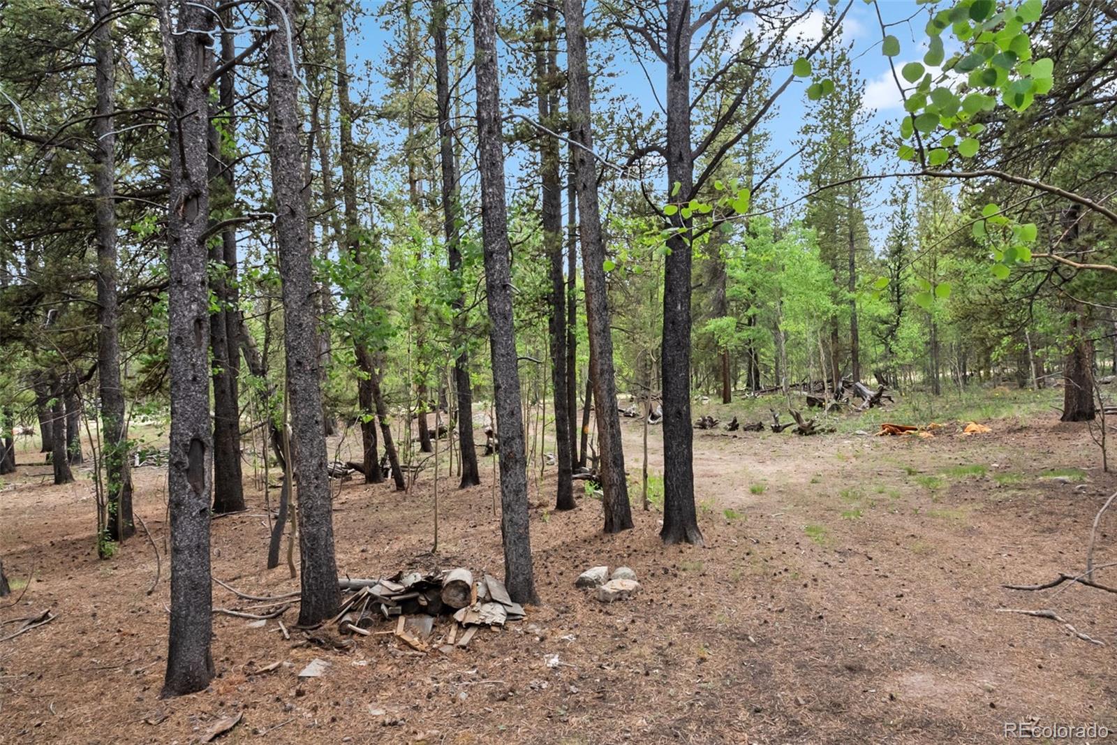 MLS Image #8 for 64  ski doo road,fairplay, Colorado