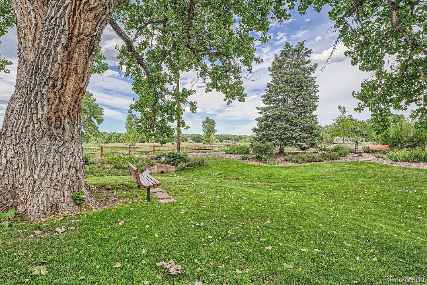 MLS Image #20 for 2370 s brentwood street,lakewood, Colorado
