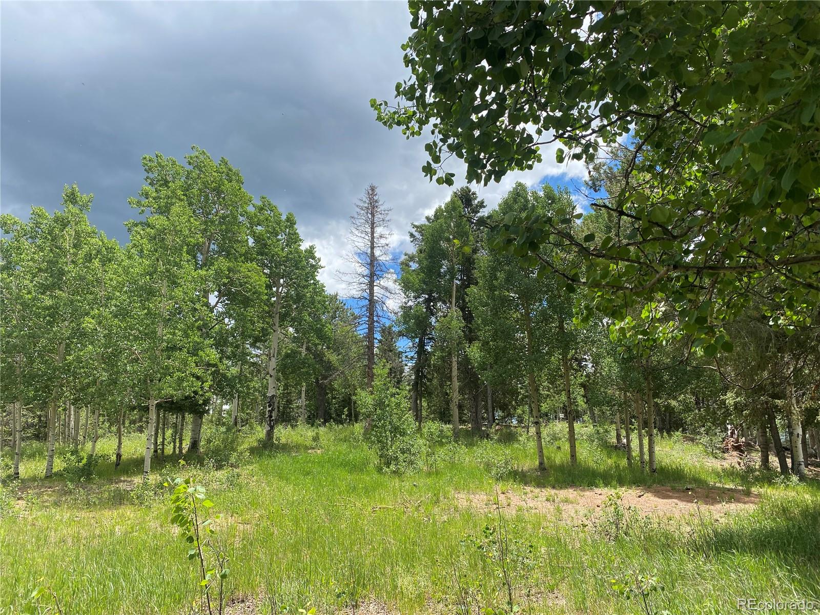 MLS Image #20 for 3597  county road 61 ,cripple creek, Colorado