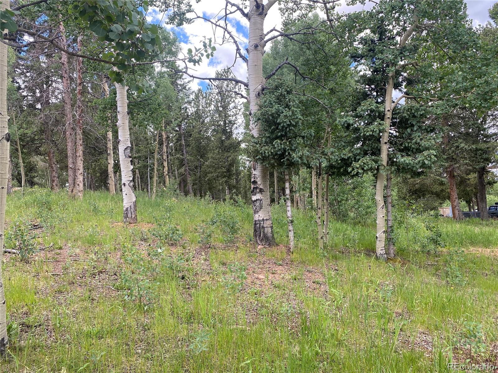 MLS Image #22 for 3597  county road 61 ,cripple creek, Colorado