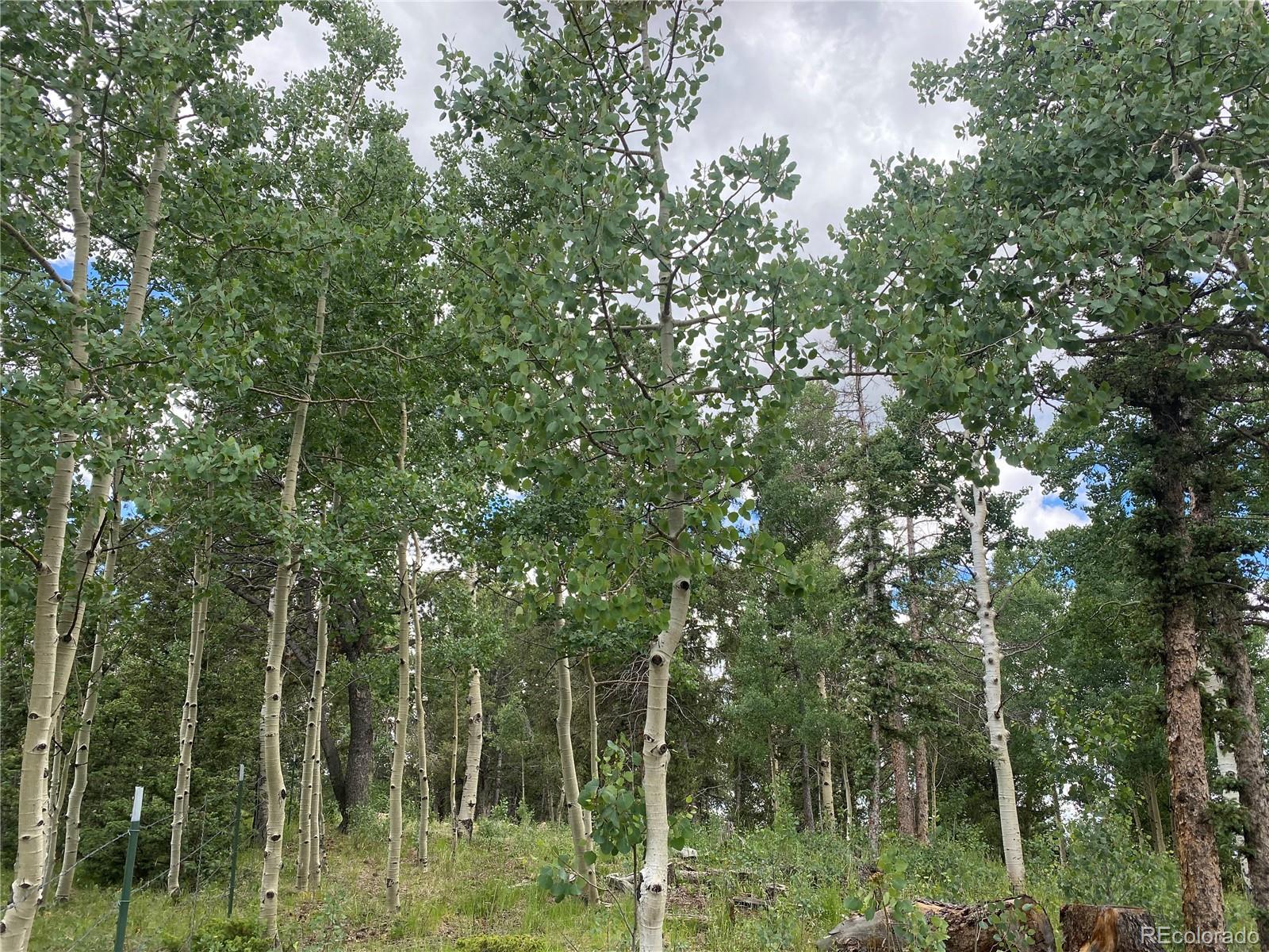 MLS Image #24 for 3597  county road 61 ,cripple creek, Colorado