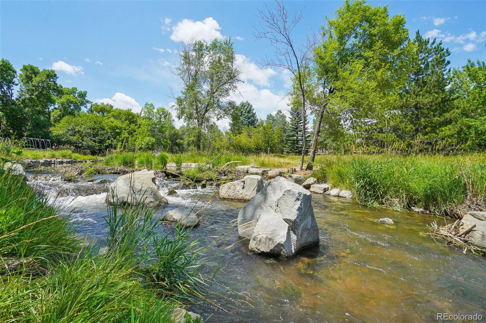 MLS Image #42 for 1609  peterson place,fort collins, Colorado