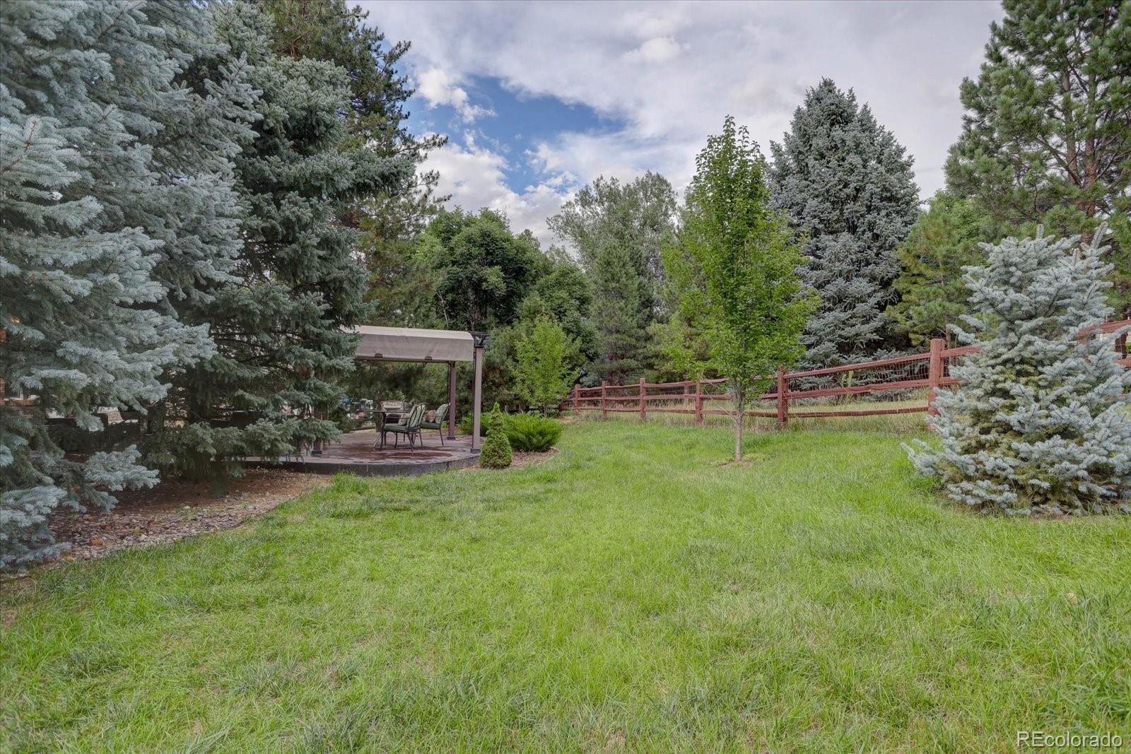 MLS Image #41 for 11398  hilary place,parker, Colorado