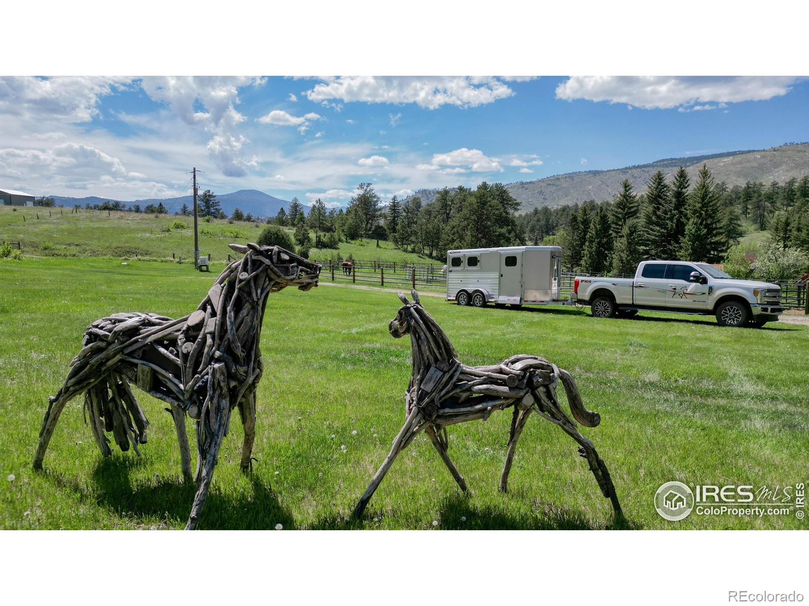 MLS Image #2 for 306  snow top drive,drake, Colorado