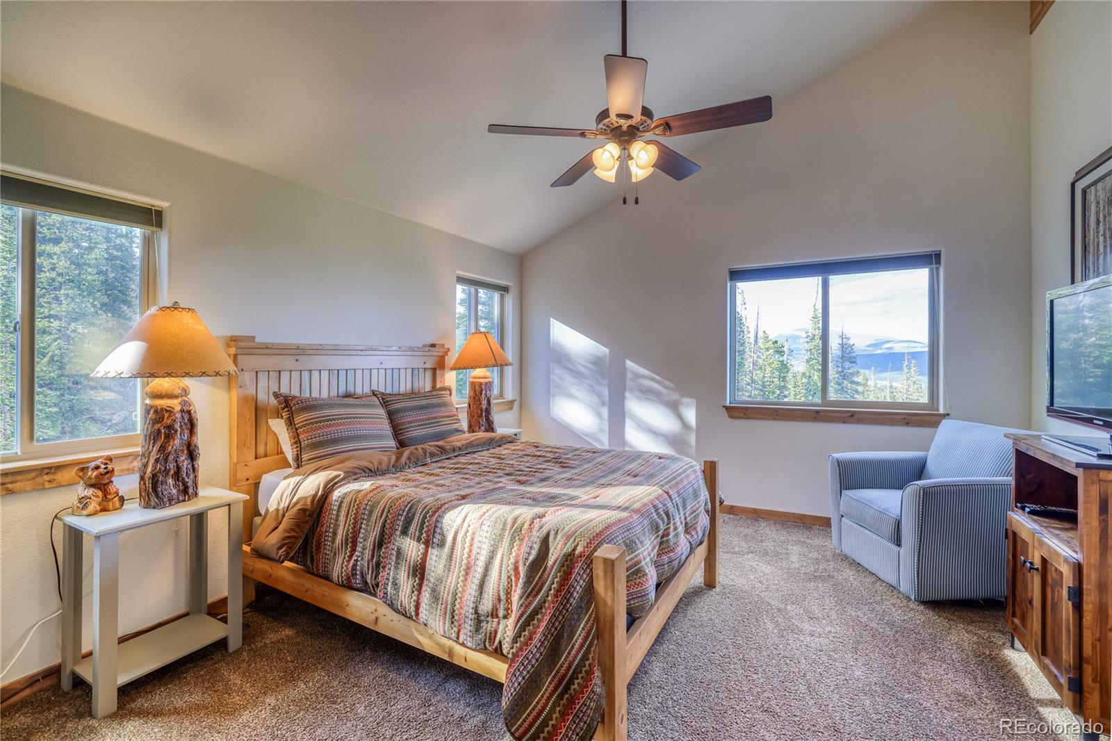 MLS Image #22 for 441  el lobo lane,fairplay, Colorado