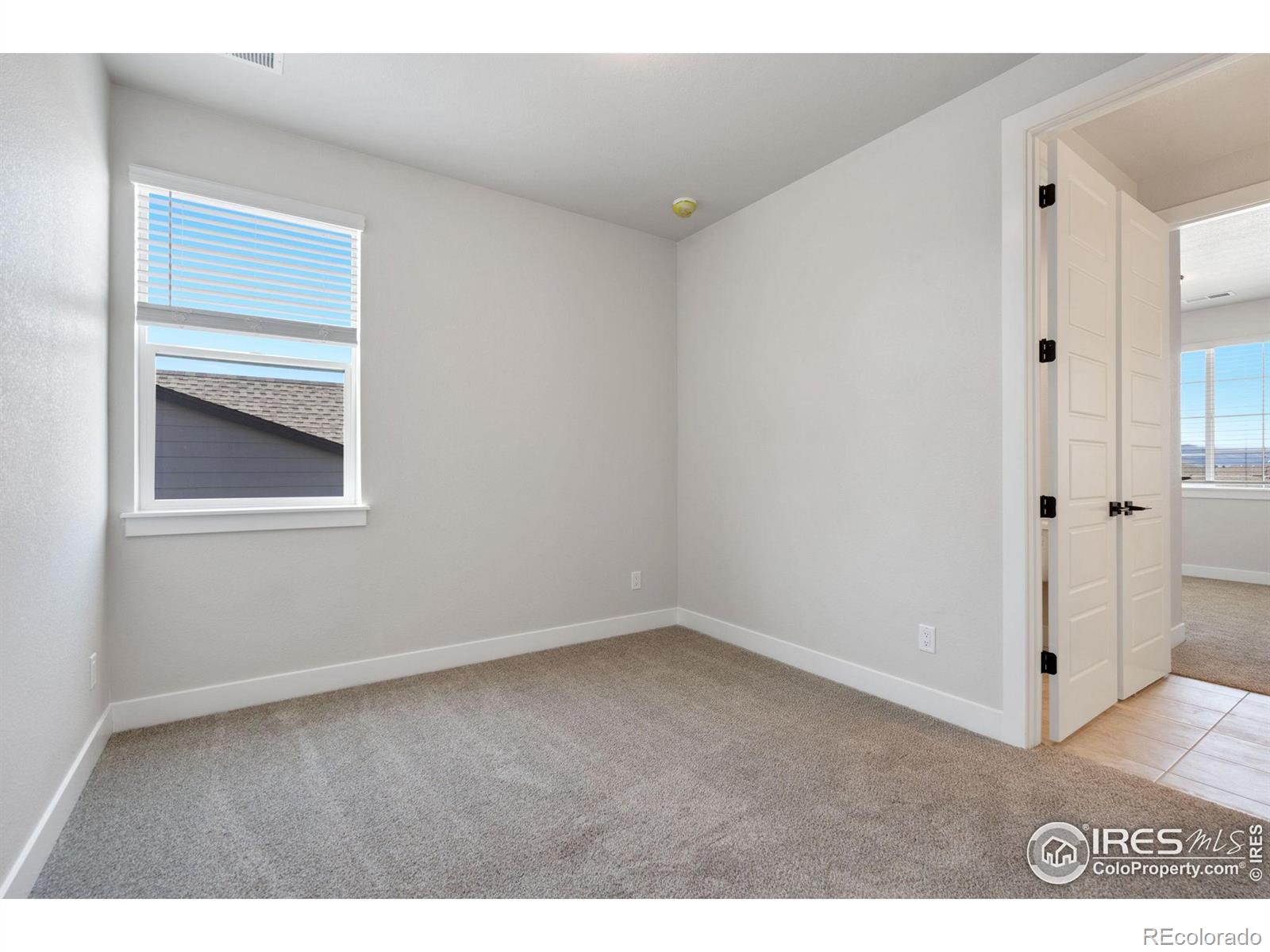 MLS Image #12 for 1717  lucent court,windsor, Colorado