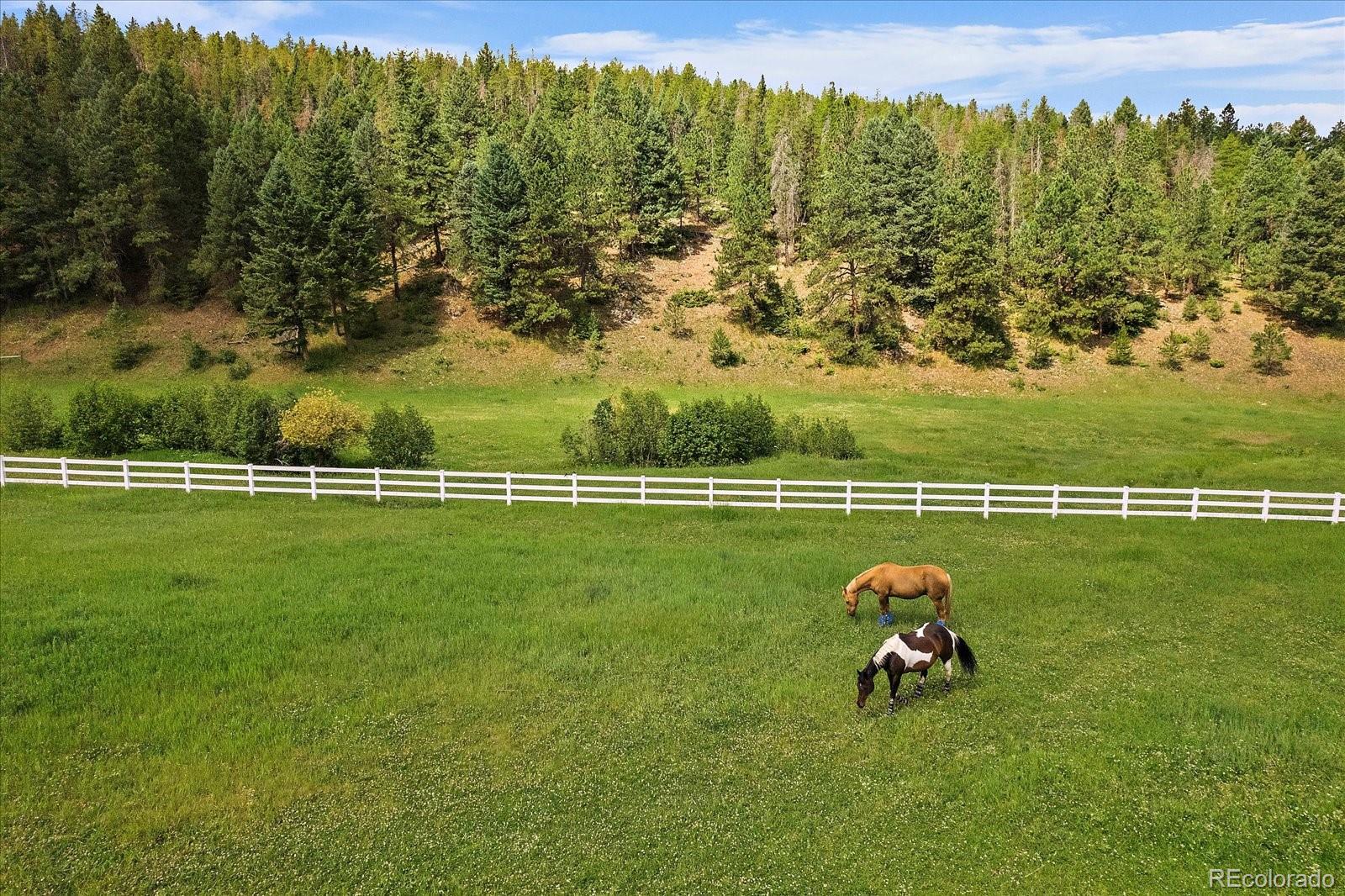 MLS Image #8 for 7551  blue creek road,evergreen, Colorado