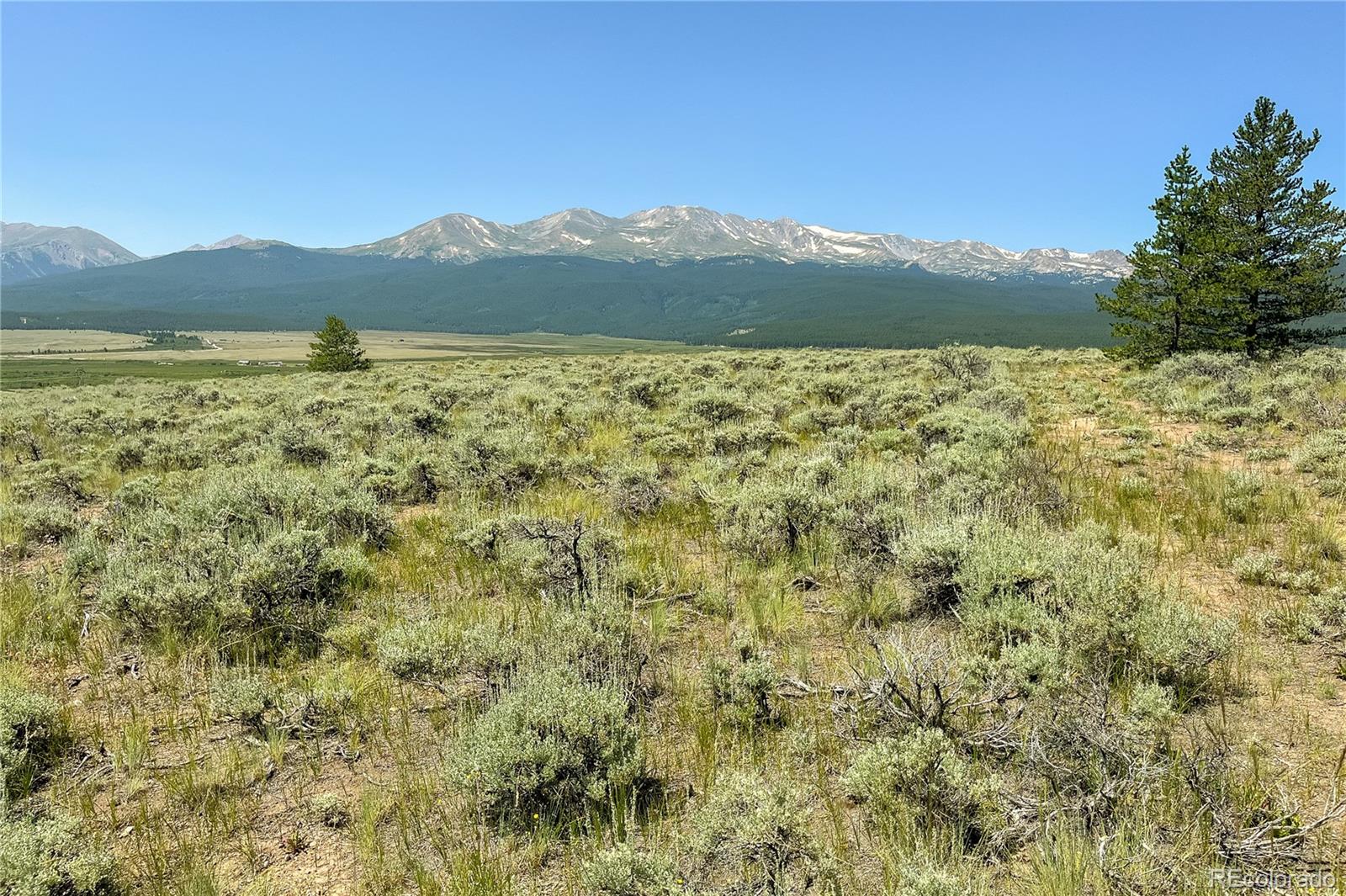 MLS Image #2 for 12340  us highway 24 ,leadville, Colorado