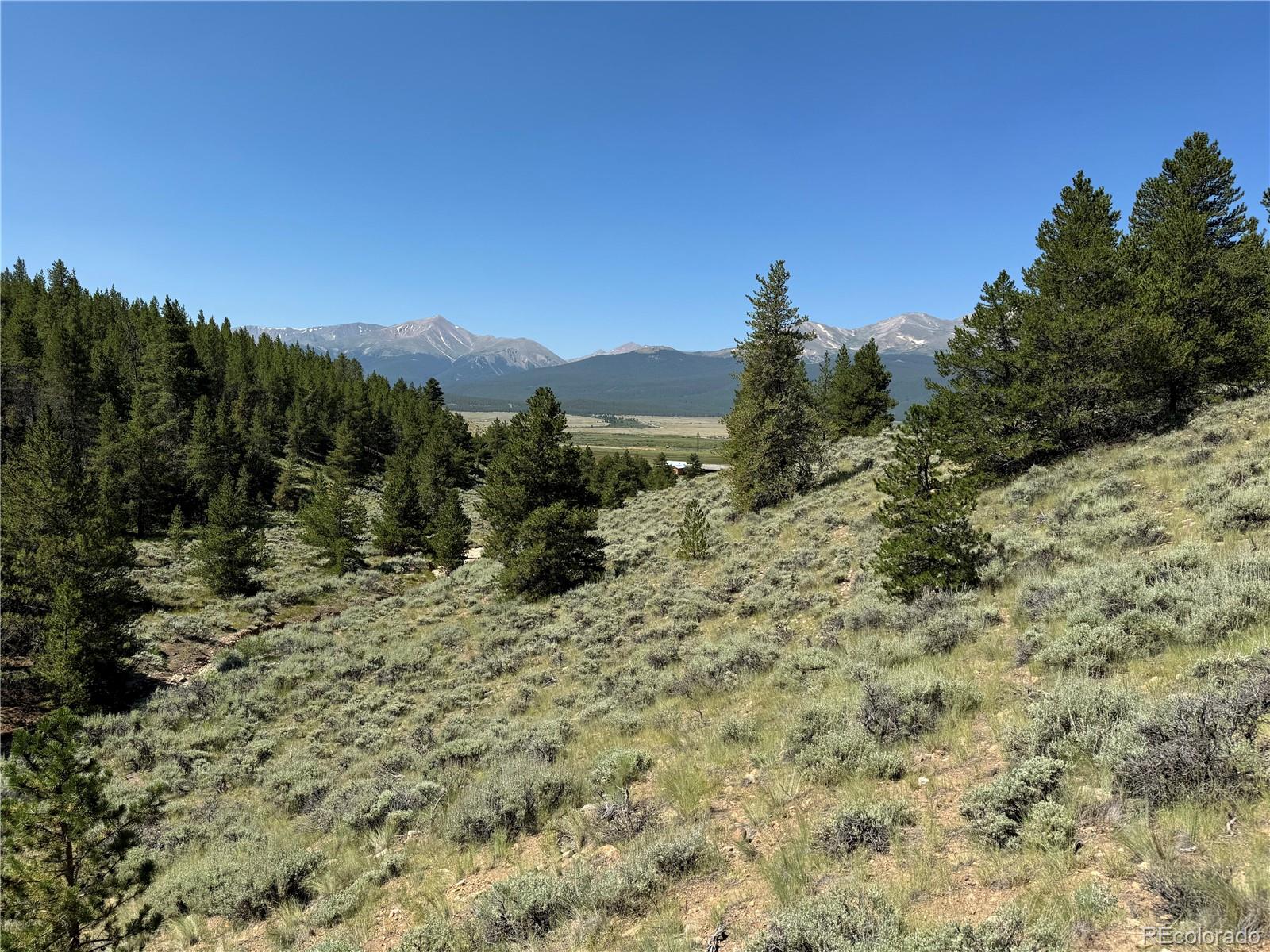 MLS Image #31 for 12340  us highway 24 ,leadville, Colorado