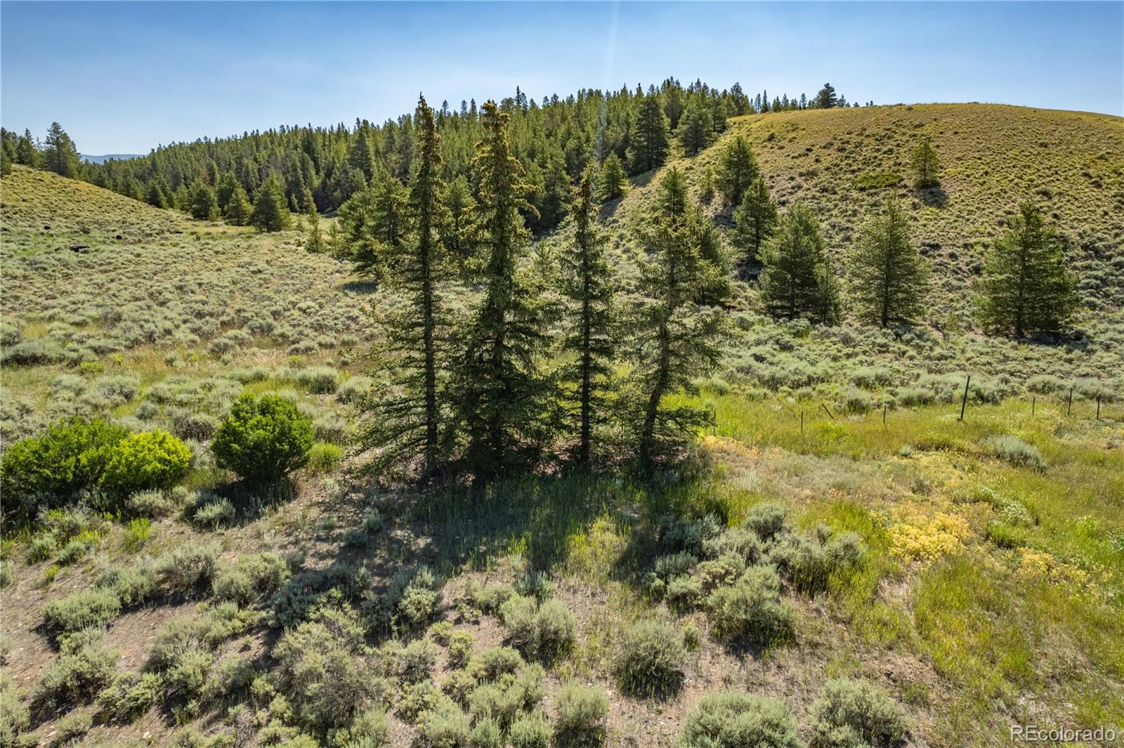 MLS Image #7 for 12340  us highway 24 ,leadville, Colorado