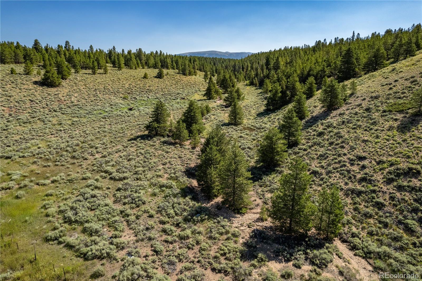 MLS Image #8 for 12340  us highway 24 ,leadville, Colorado