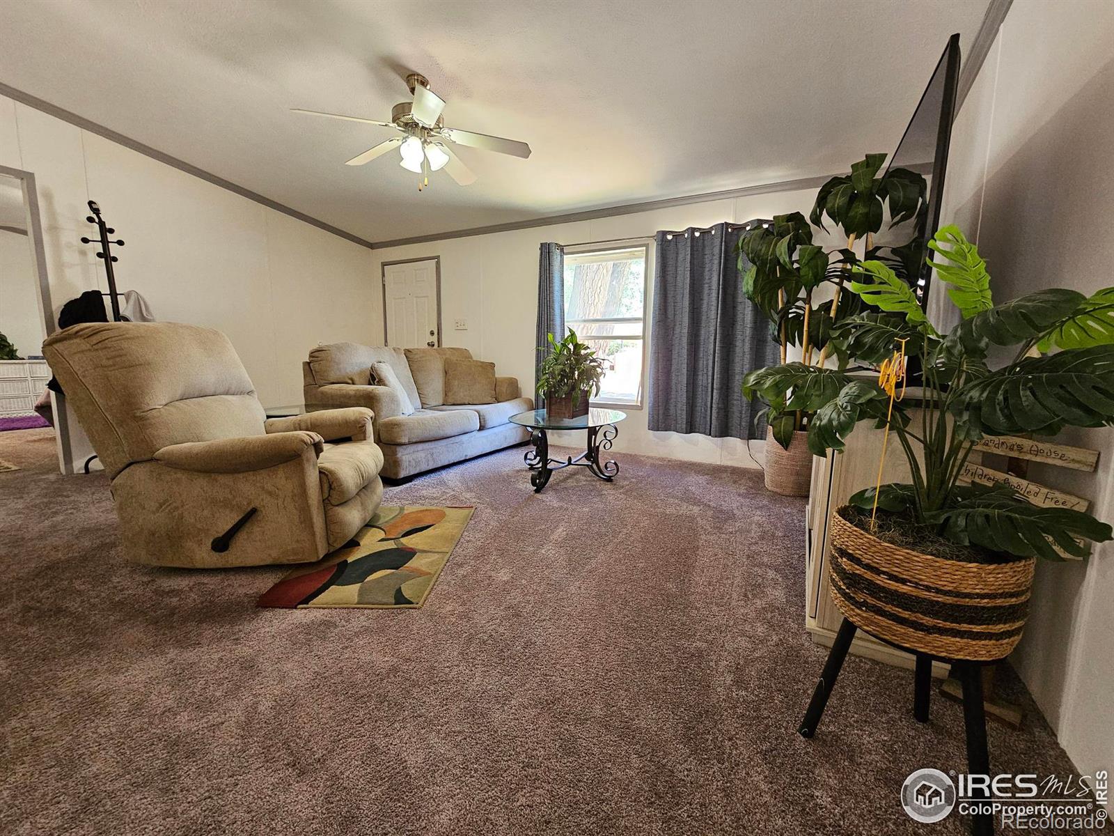 MLS Image #4 for 4517  grand canyon drive,greeley, Colorado