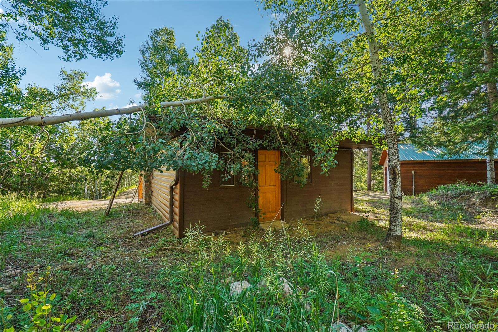 MLS Image #24 for 31746  lillis place,golden, Colorado