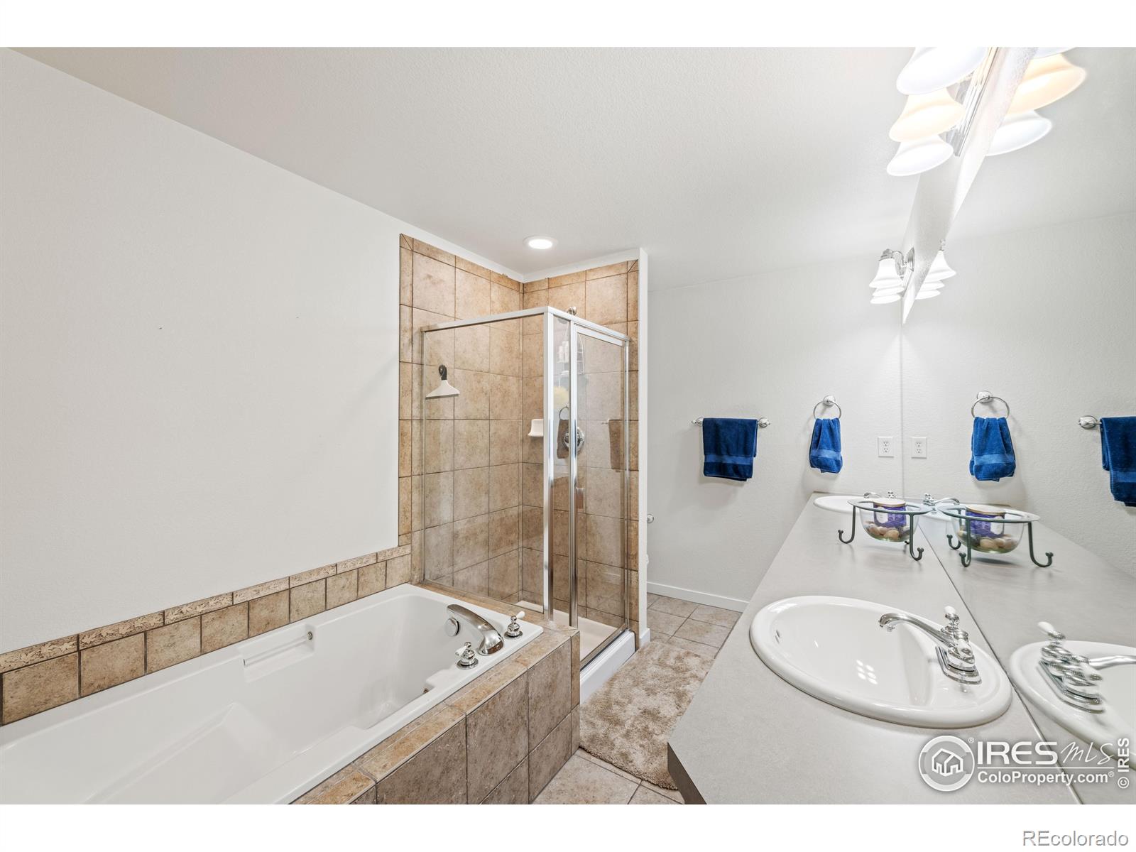 MLS Image #19 for 849  snowberry street,longmont, Colorado