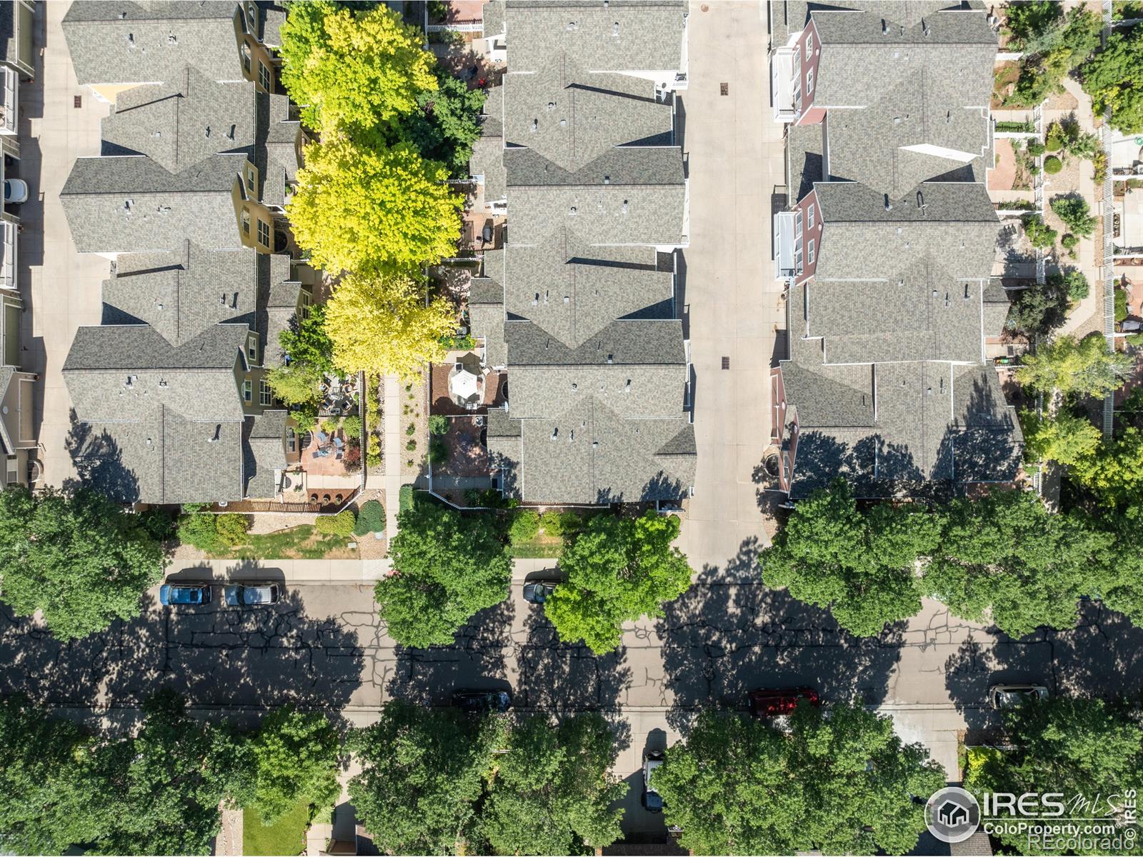 MLS Image #24 for 849  snowberry street,longmont, Colorado