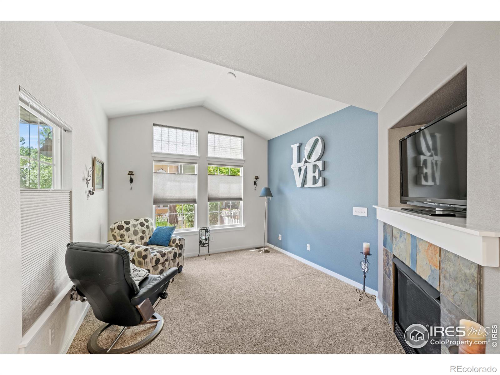 MLS Image #7 for 849  snowberry street,longmont, Colorado