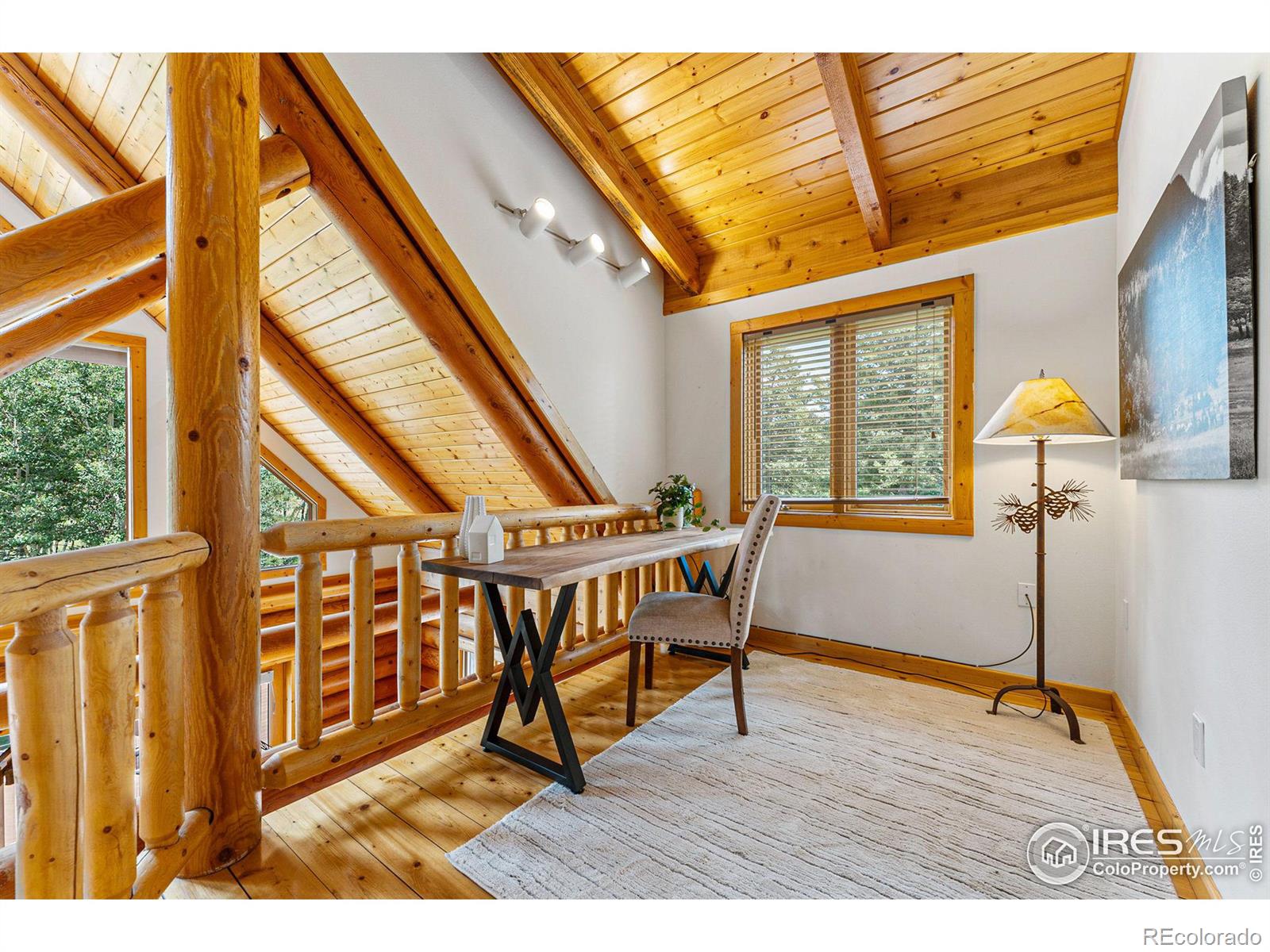 MLS Image #20 for 178  hazelwood drive,nederland, Colorado