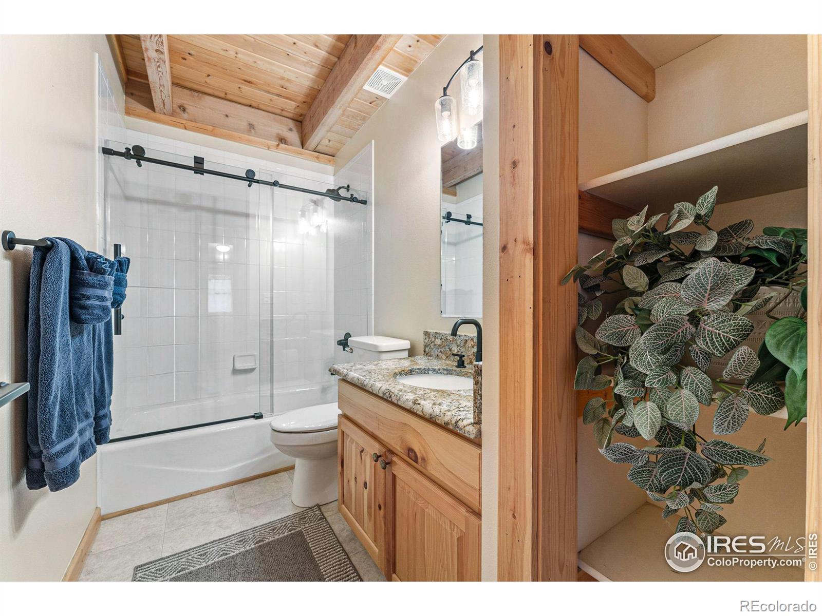 MLS Image #26 for 178  hazelwood drive,nederland, Colorado